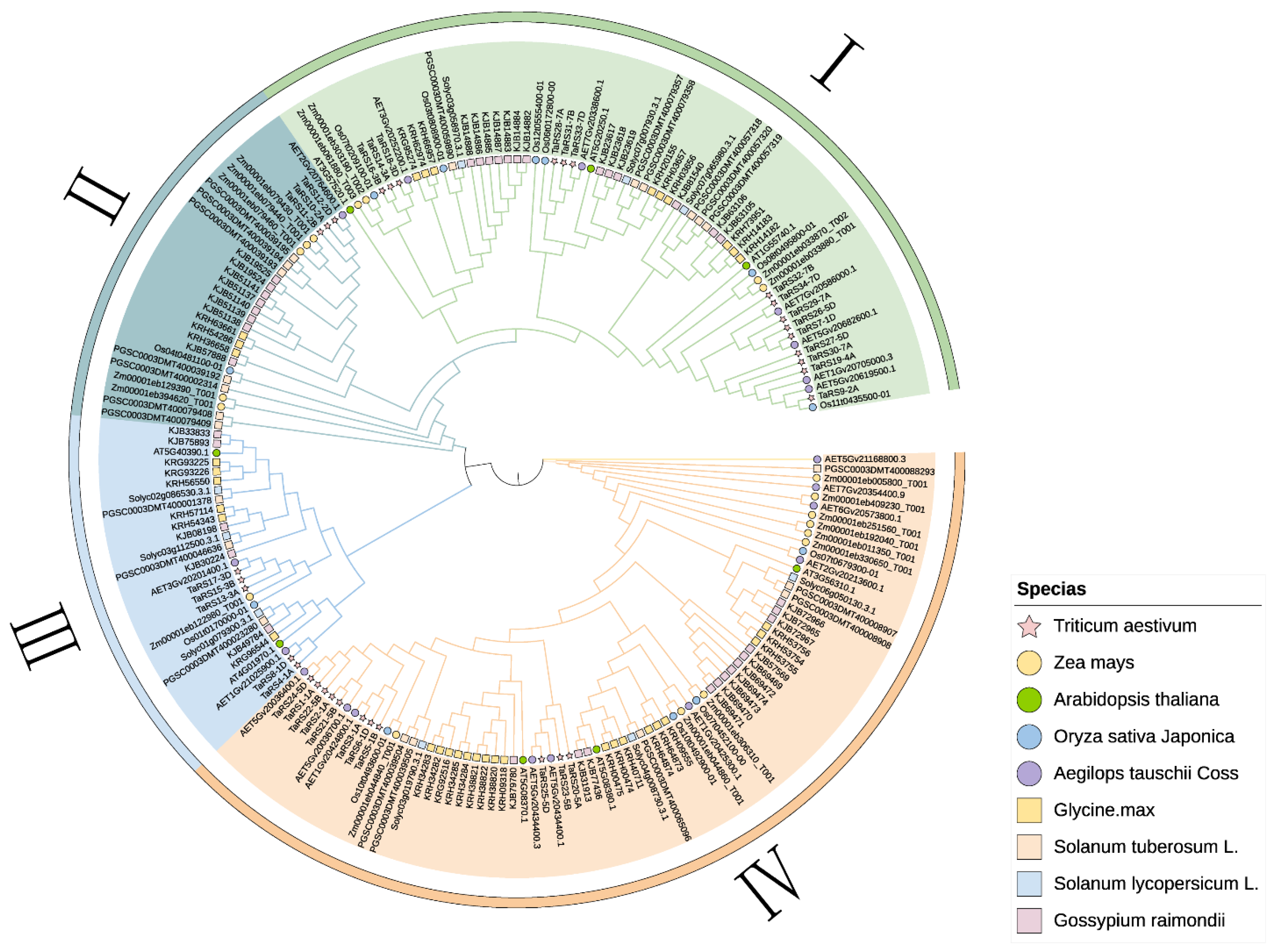 Ijms 24 11185 g002 Ijms 24 11185 g002