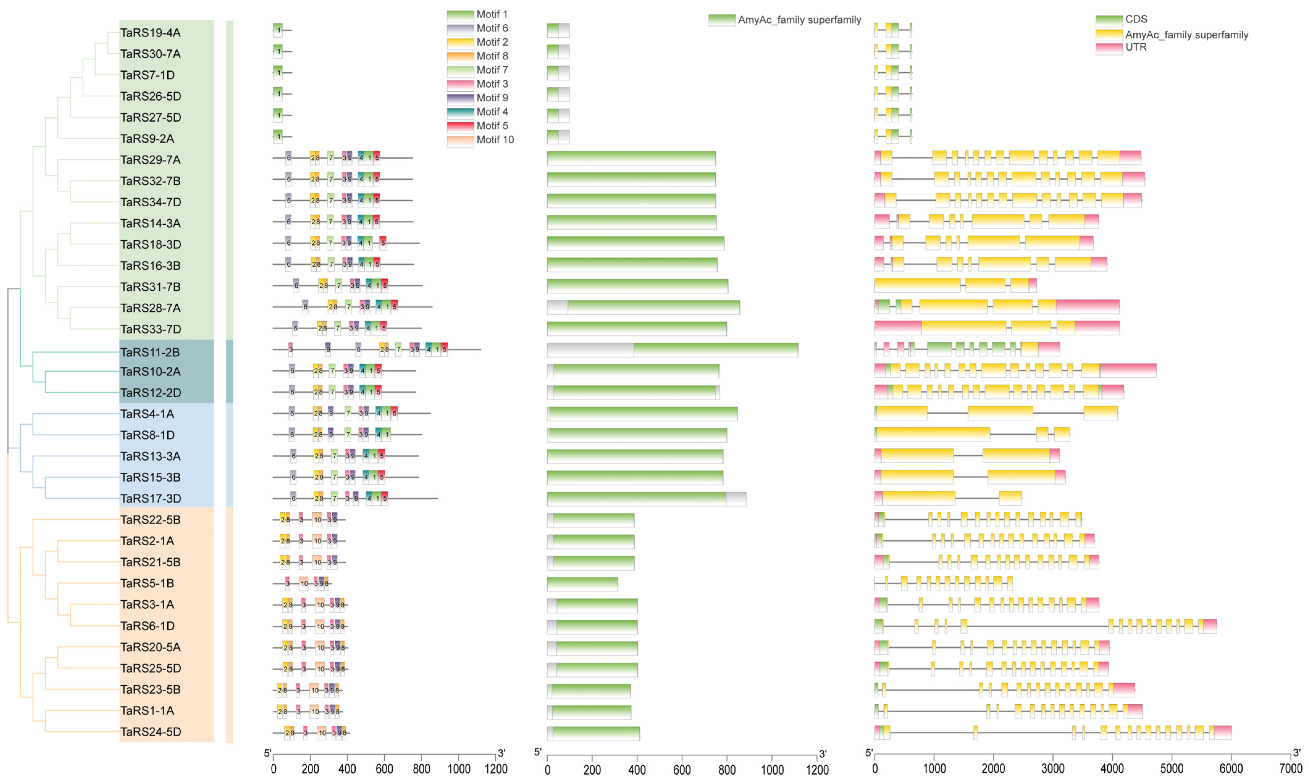 Ijms 24 11185 g003 Ijms 24 11185 g003
