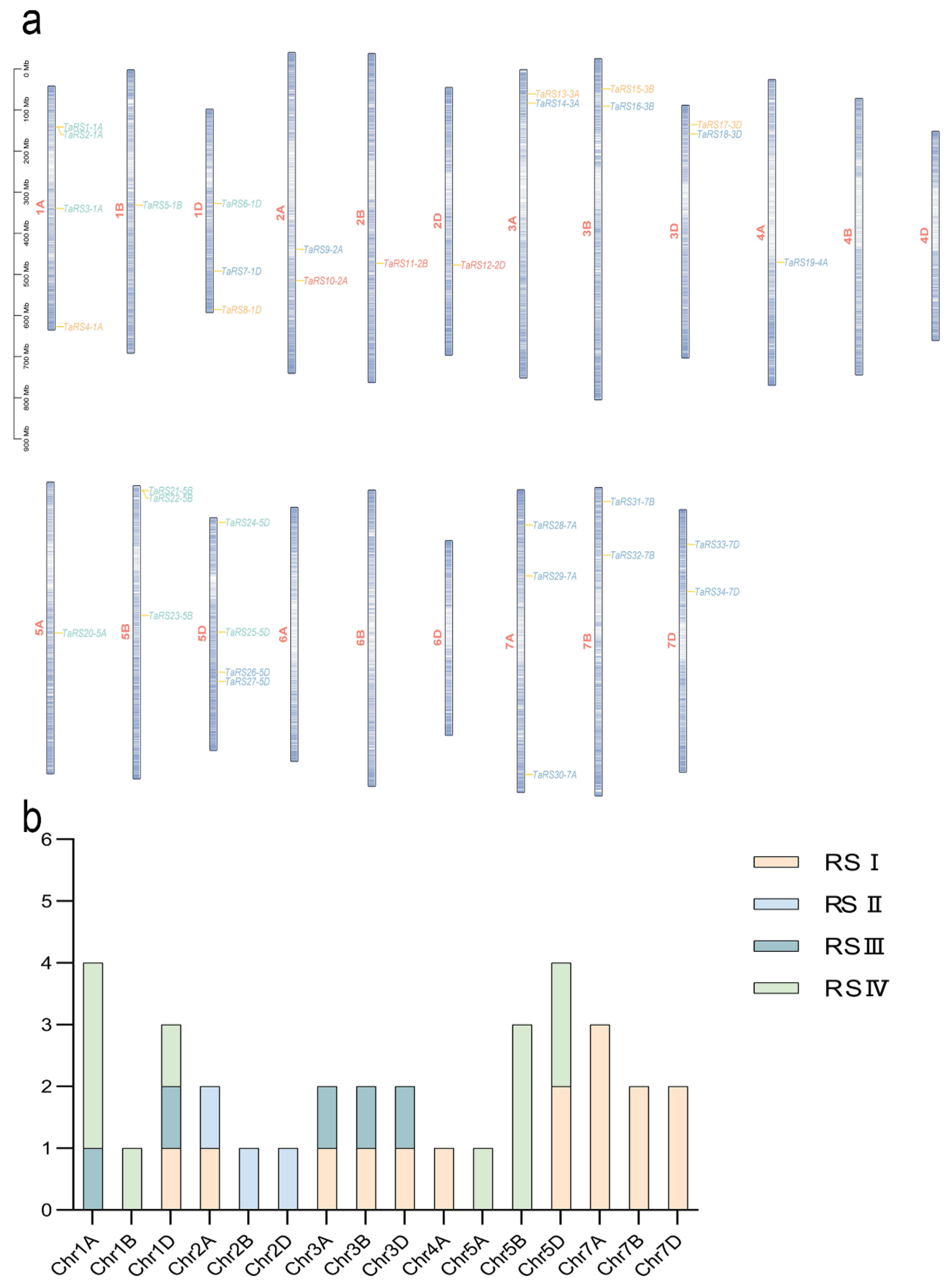 Ijms 24 11185 g004 Ijms 24 11185 g004