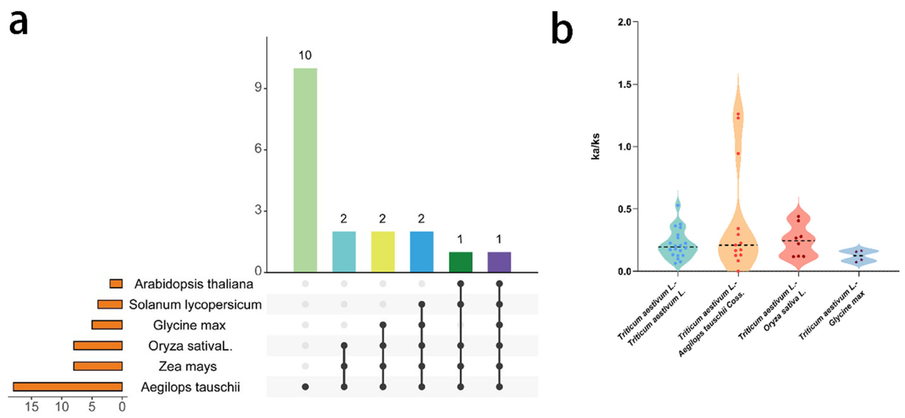 Ijms 24 11185 g007 Ijms 24 11185 g007