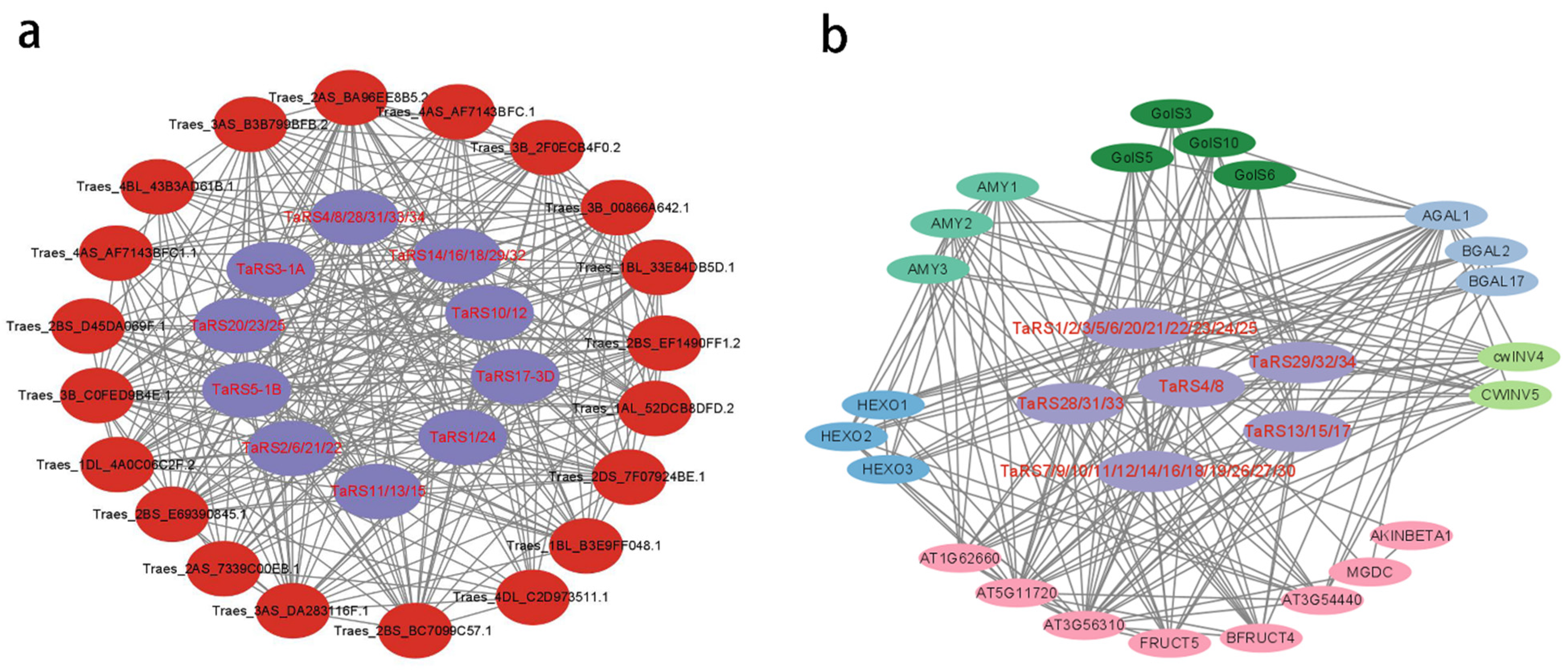 Ijms 24 11185 g009 Ijms 24 11185 g009