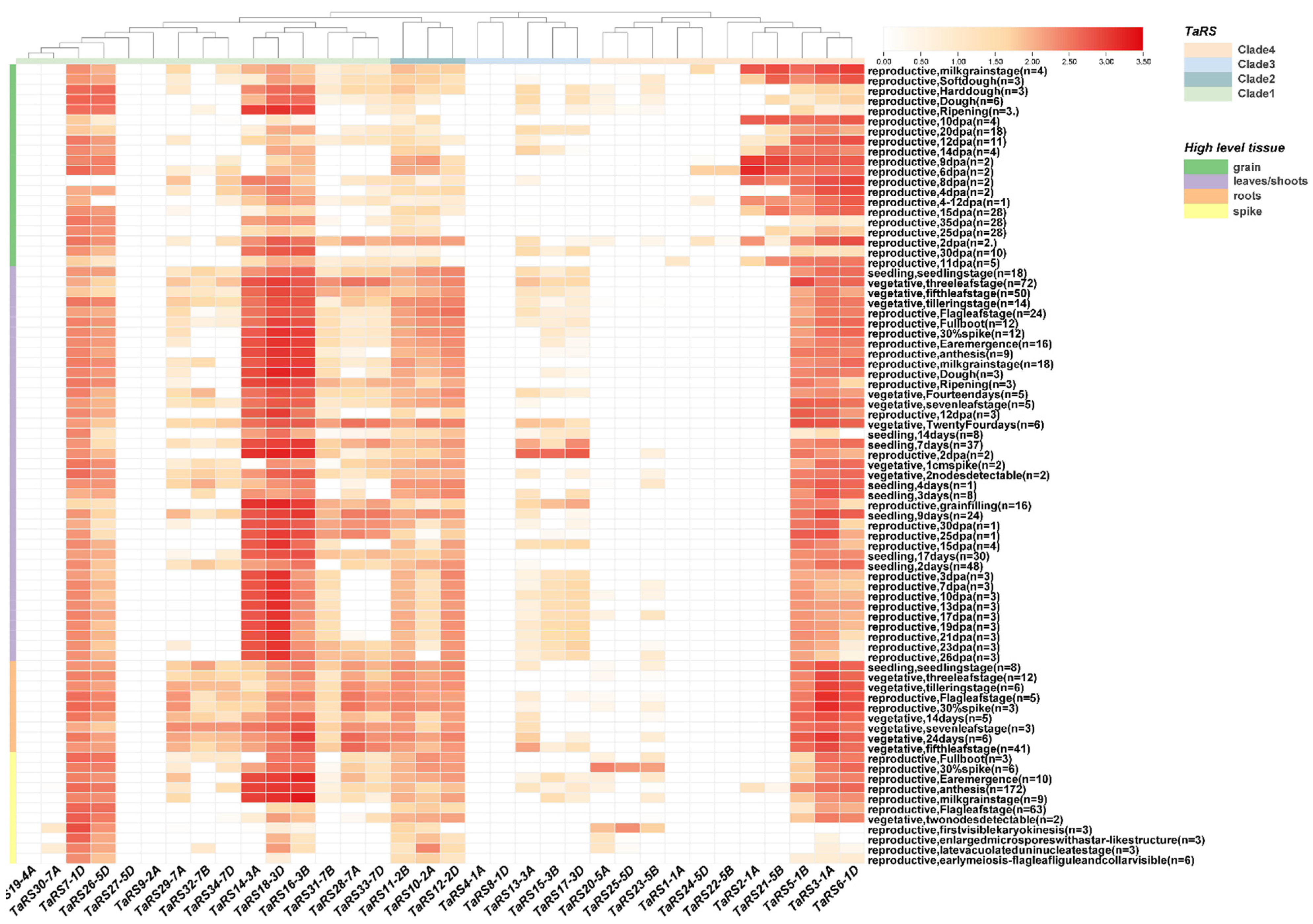 Ijms 24 11185 g011 Ijms 24 11185 g011