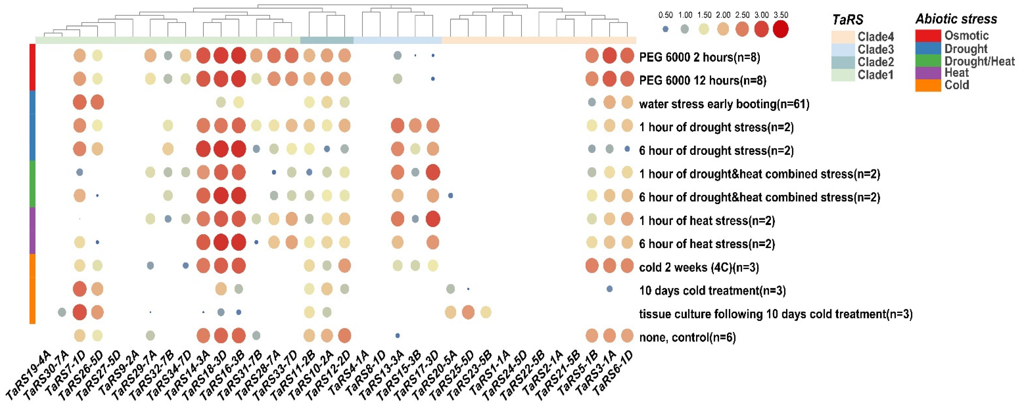 Ijms 24 11185 g012 Ijms 24 11185 g012