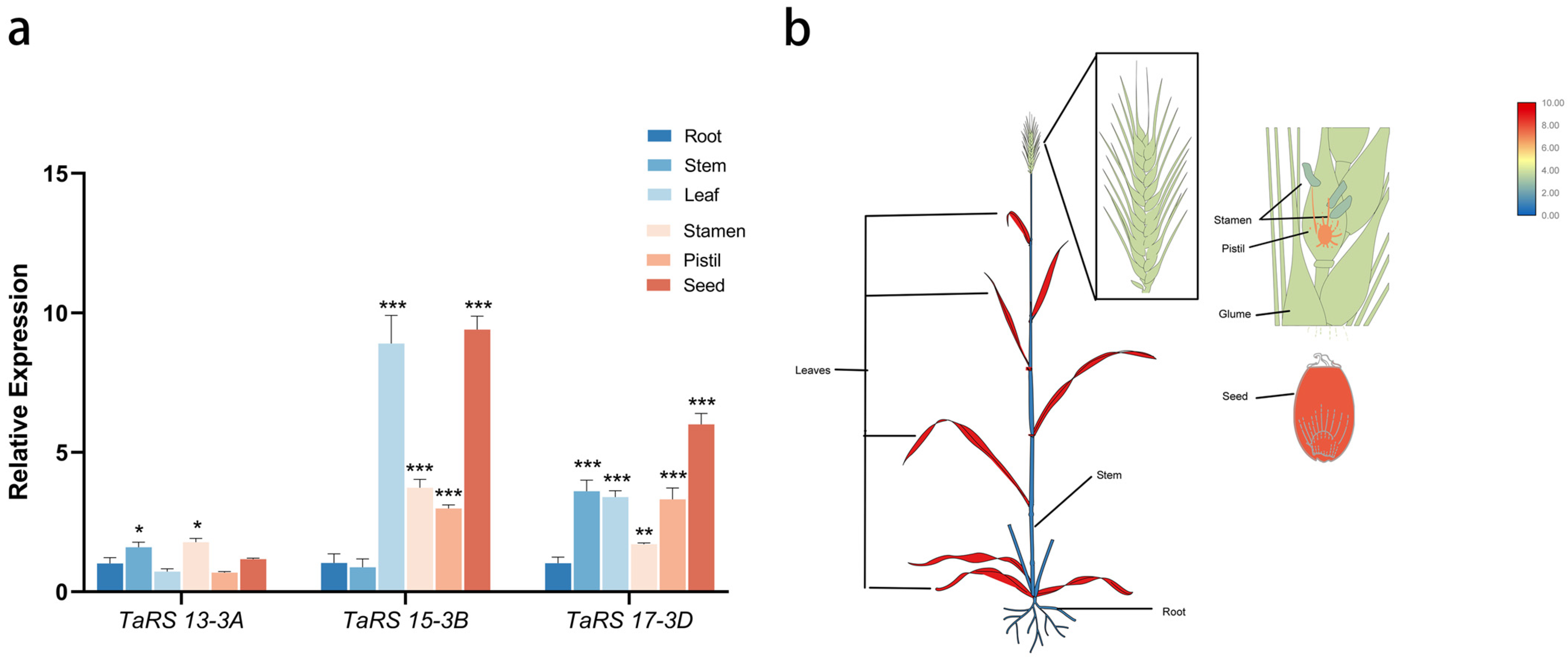 Ijms 24 11185 g015 Ijms 24 11185 g015