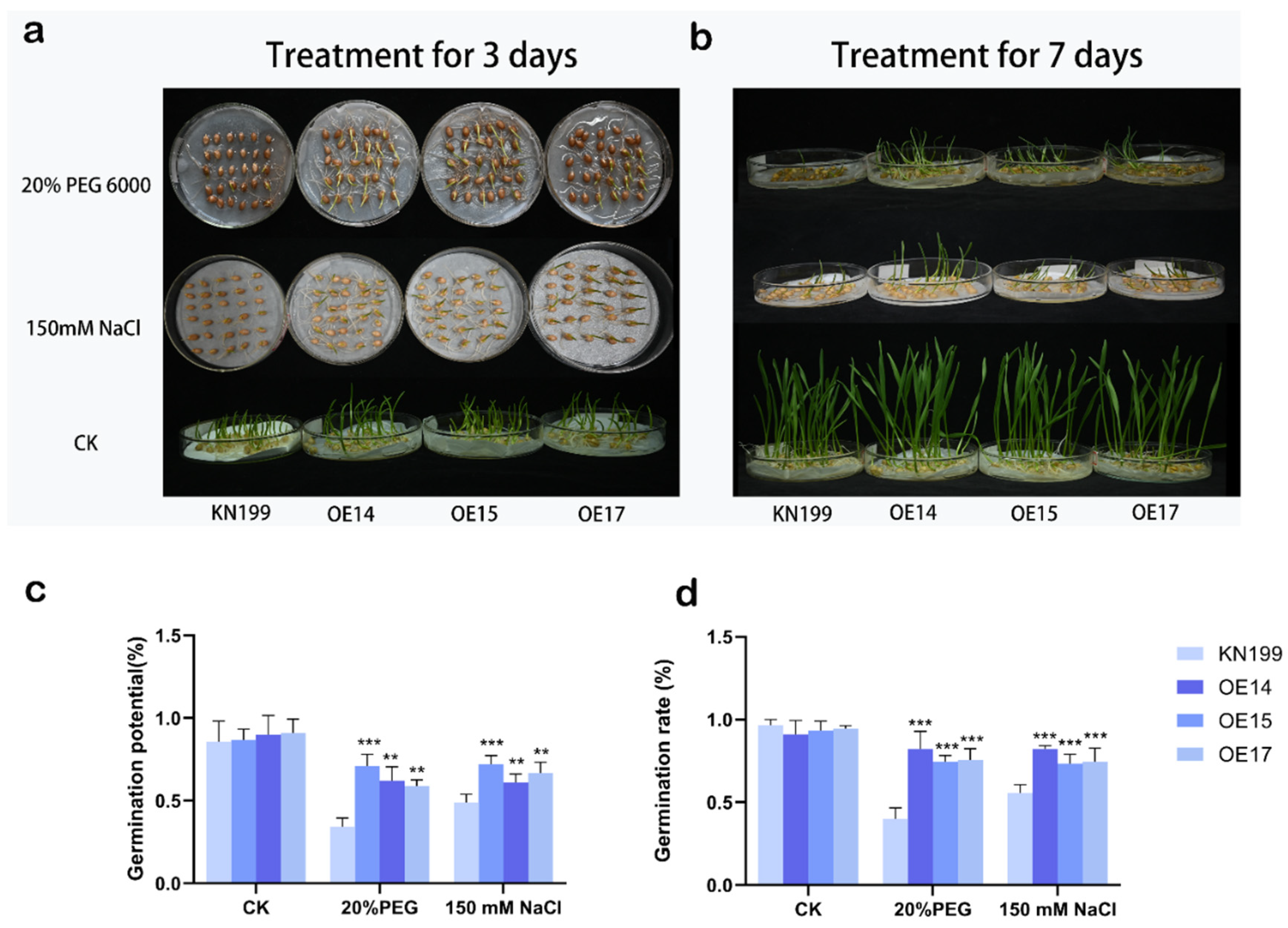 Ijms 24 11185 g016 Ijms 24 11185 g016