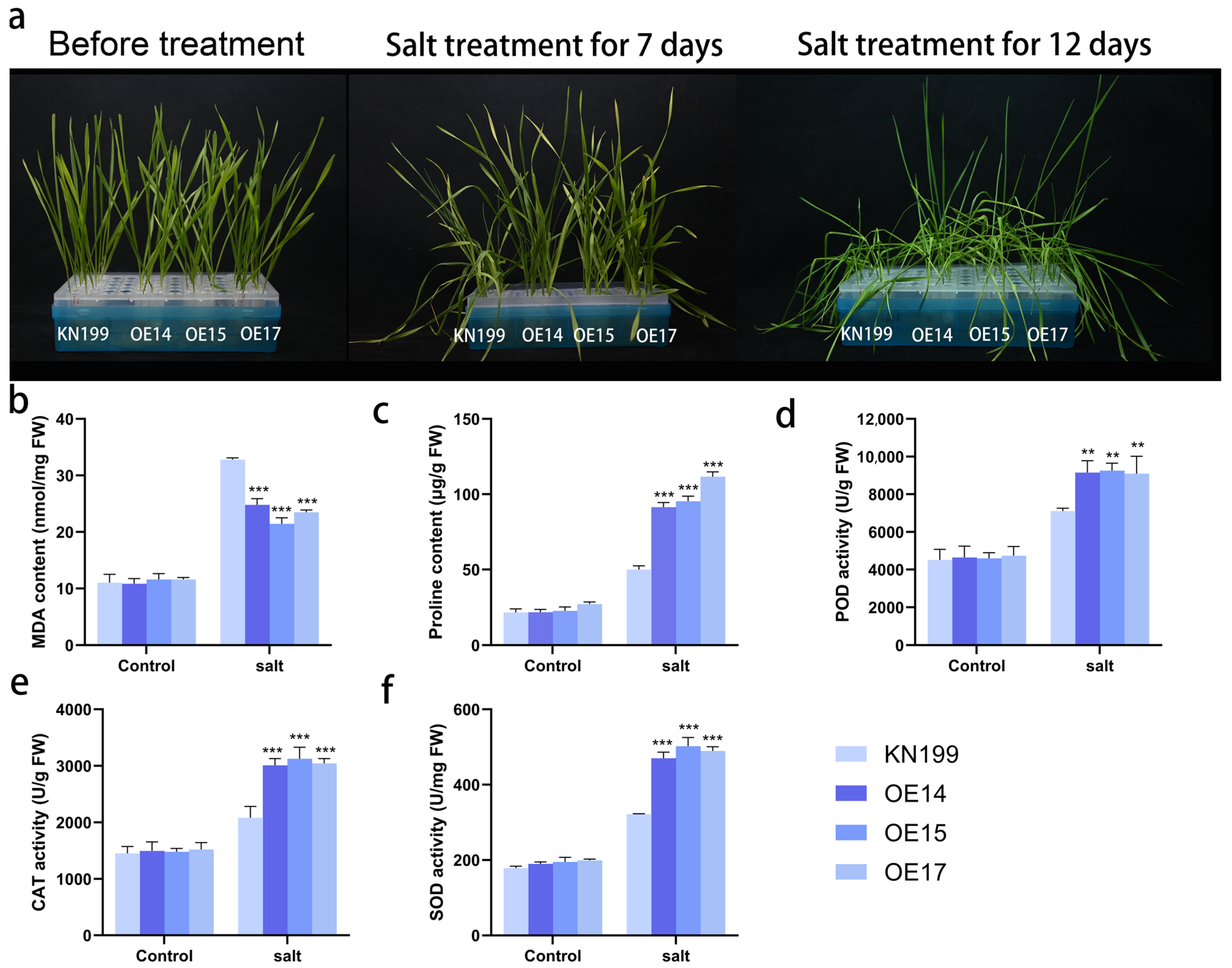 Ijms 24 11185 g018 Ijms 24 11185 g018