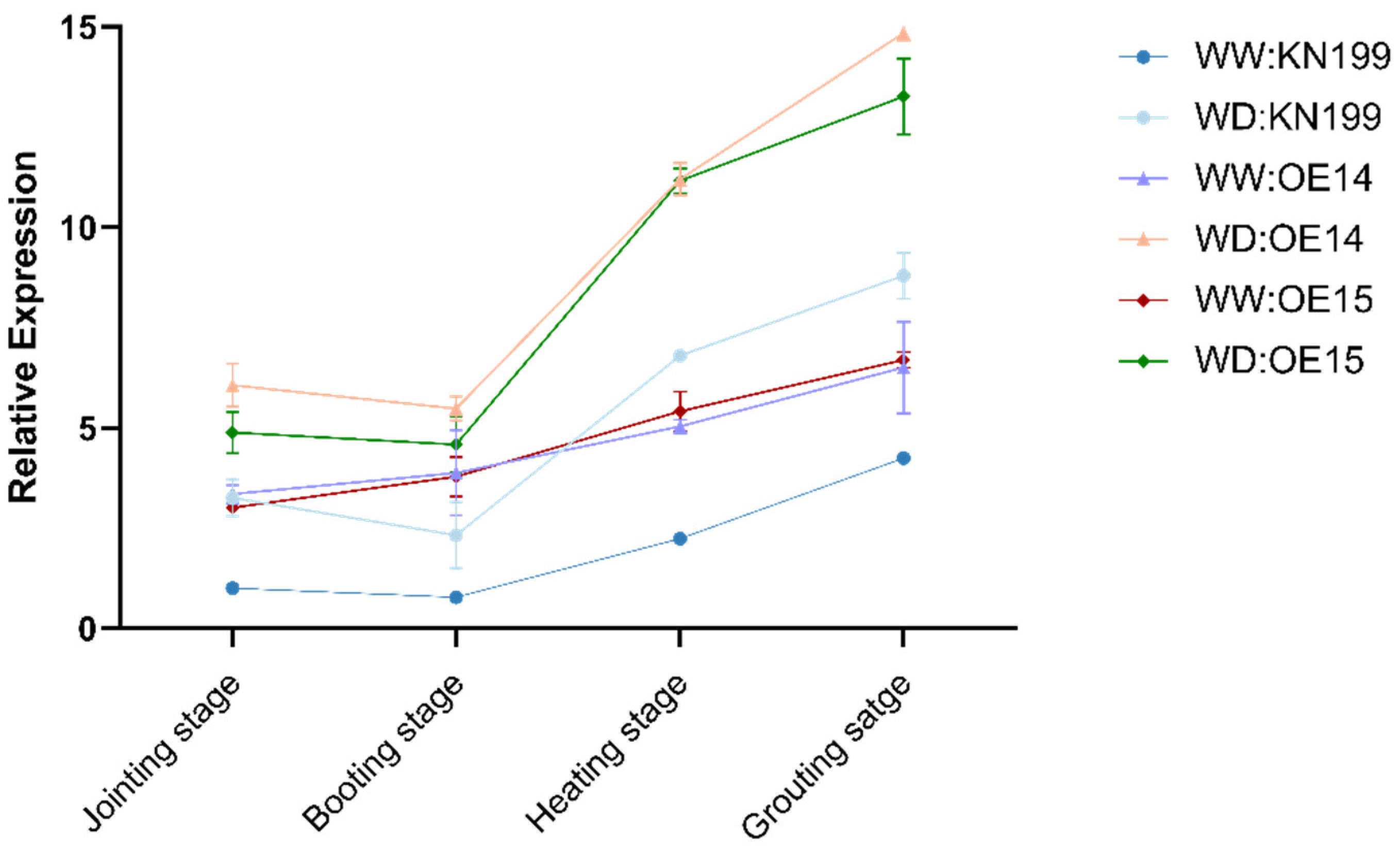 Ijms 24 11185 g021 Ijms 24 11185 g021