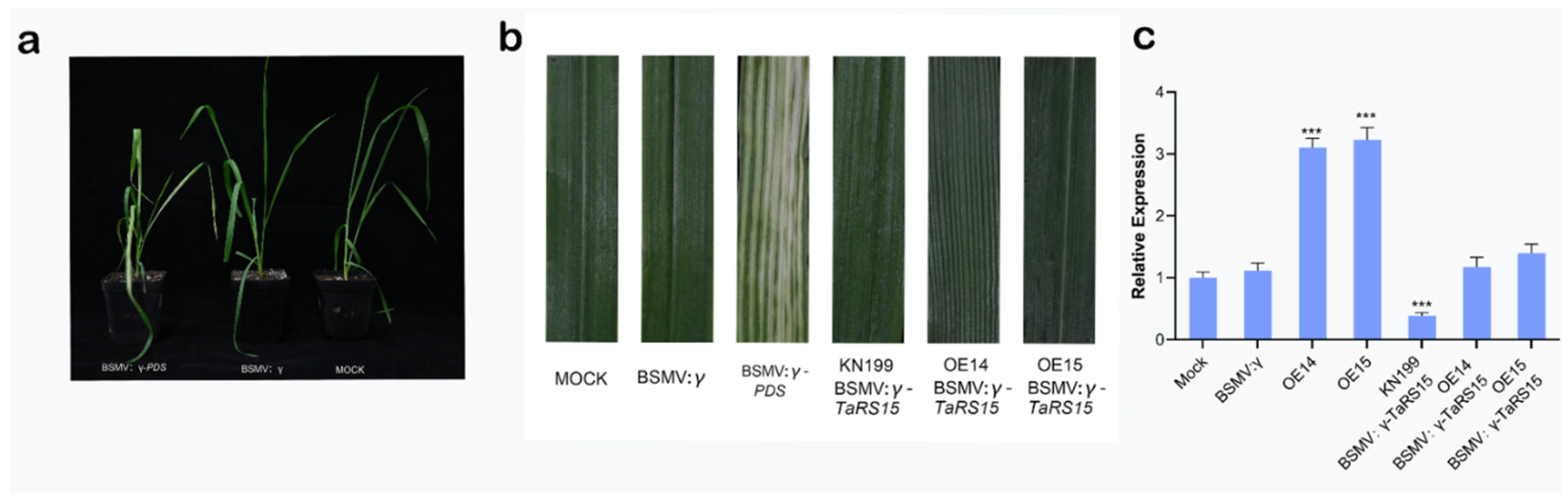 Ijms 24 11185 g022 Ijms 24 11185 g022