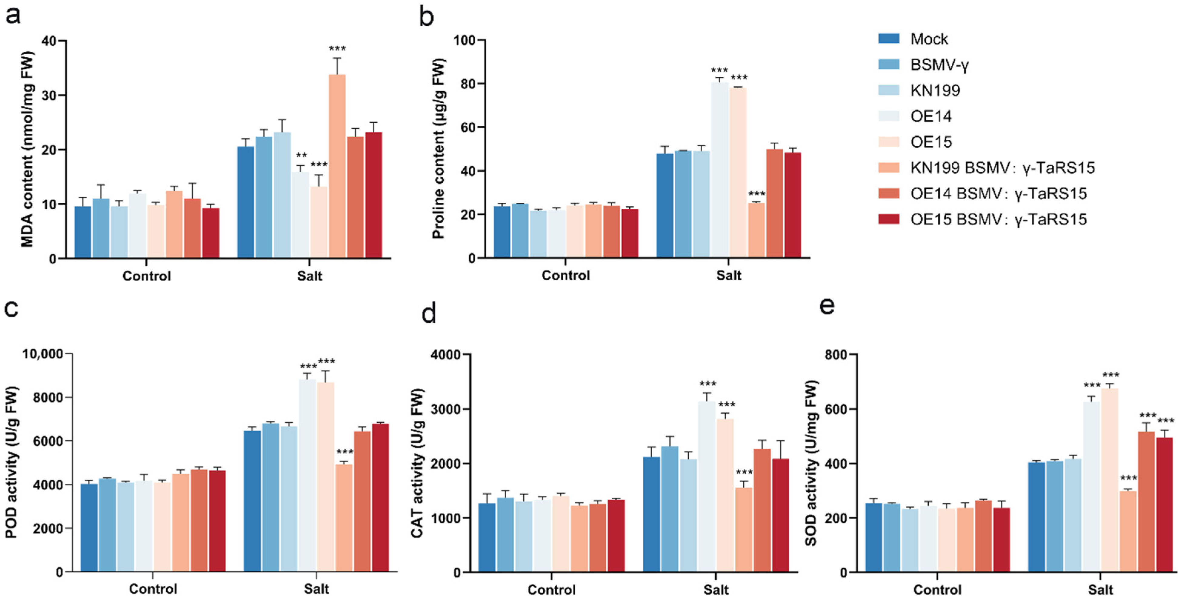 Ijms 24 11185 g026 Ijms 24 11185 g026