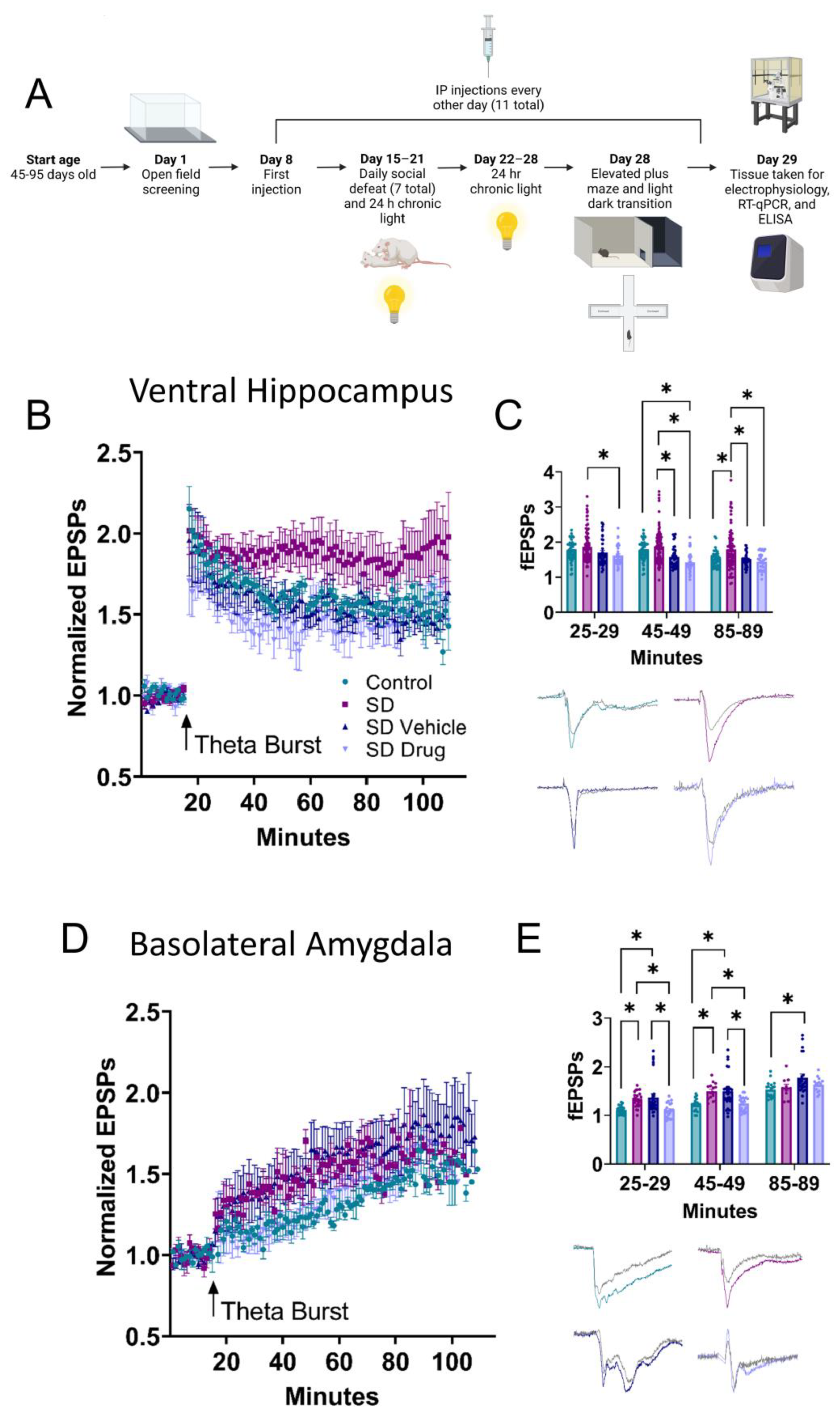Ijms 24 11193 g002 Ijms 24 11193 g002