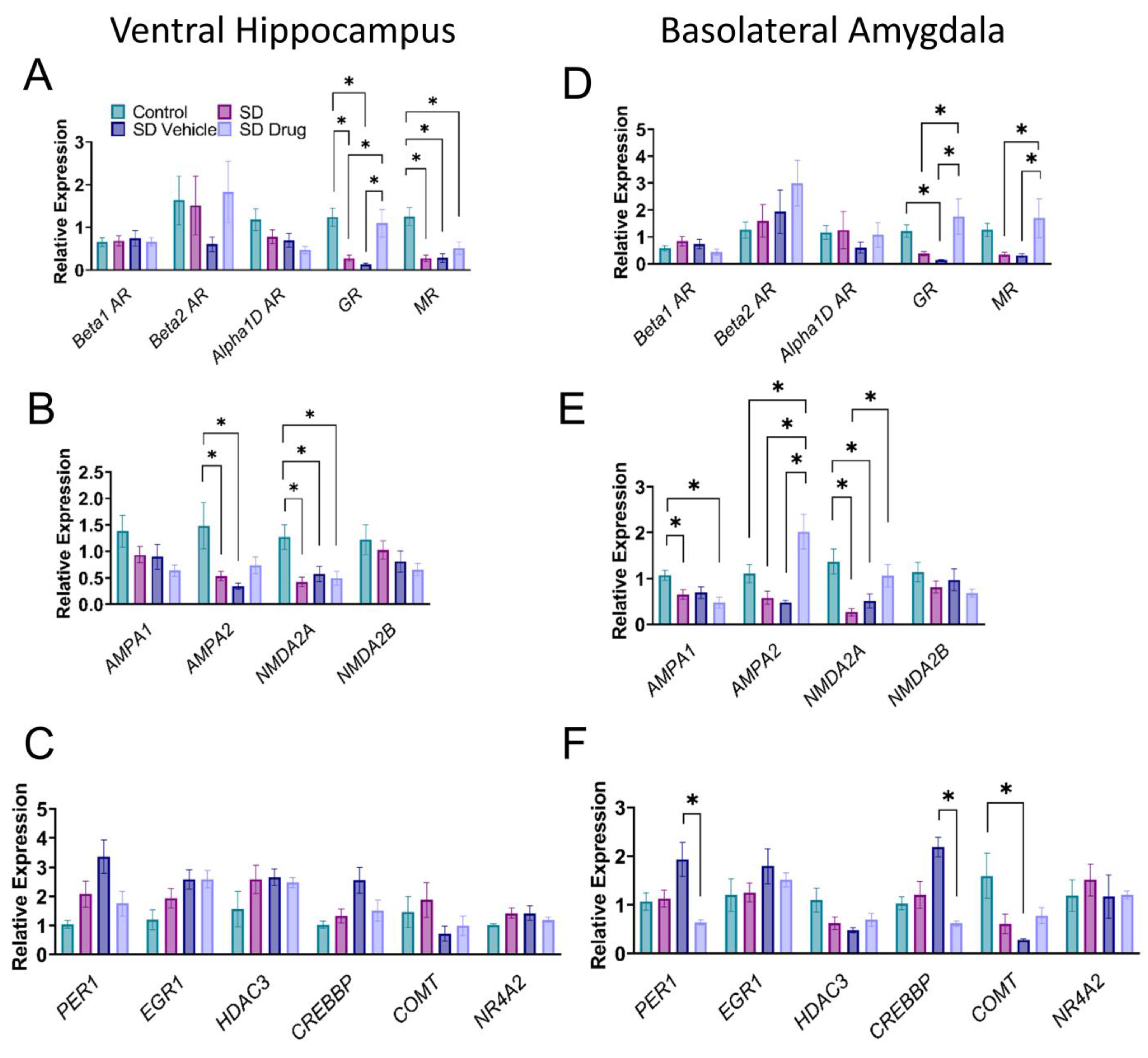 Ijms 24 11193 g005 Ijms 24 11193 g005