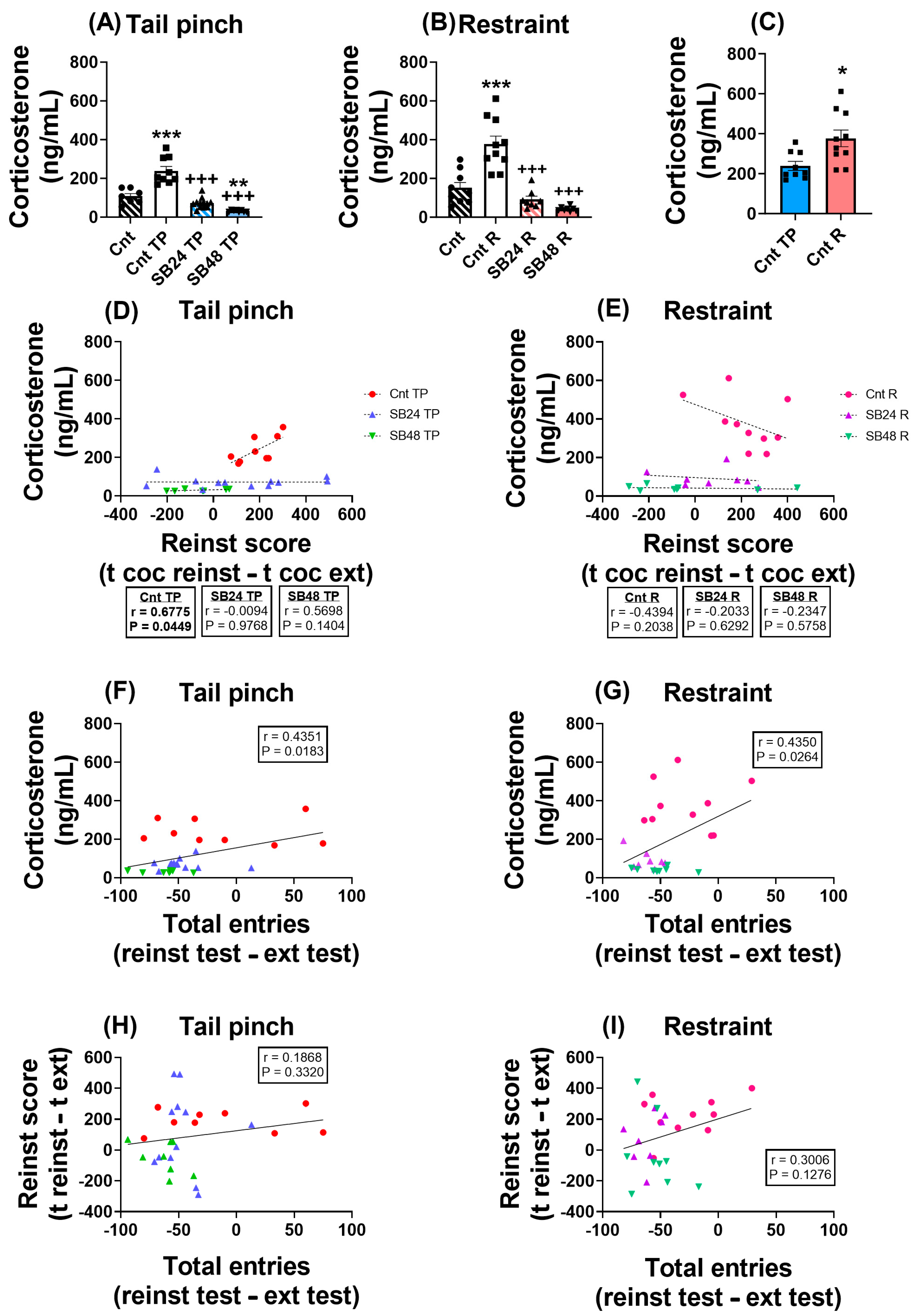 Dopamine D3 Receptor Modulates Akt/mTOR and ERK1/2 Pathways