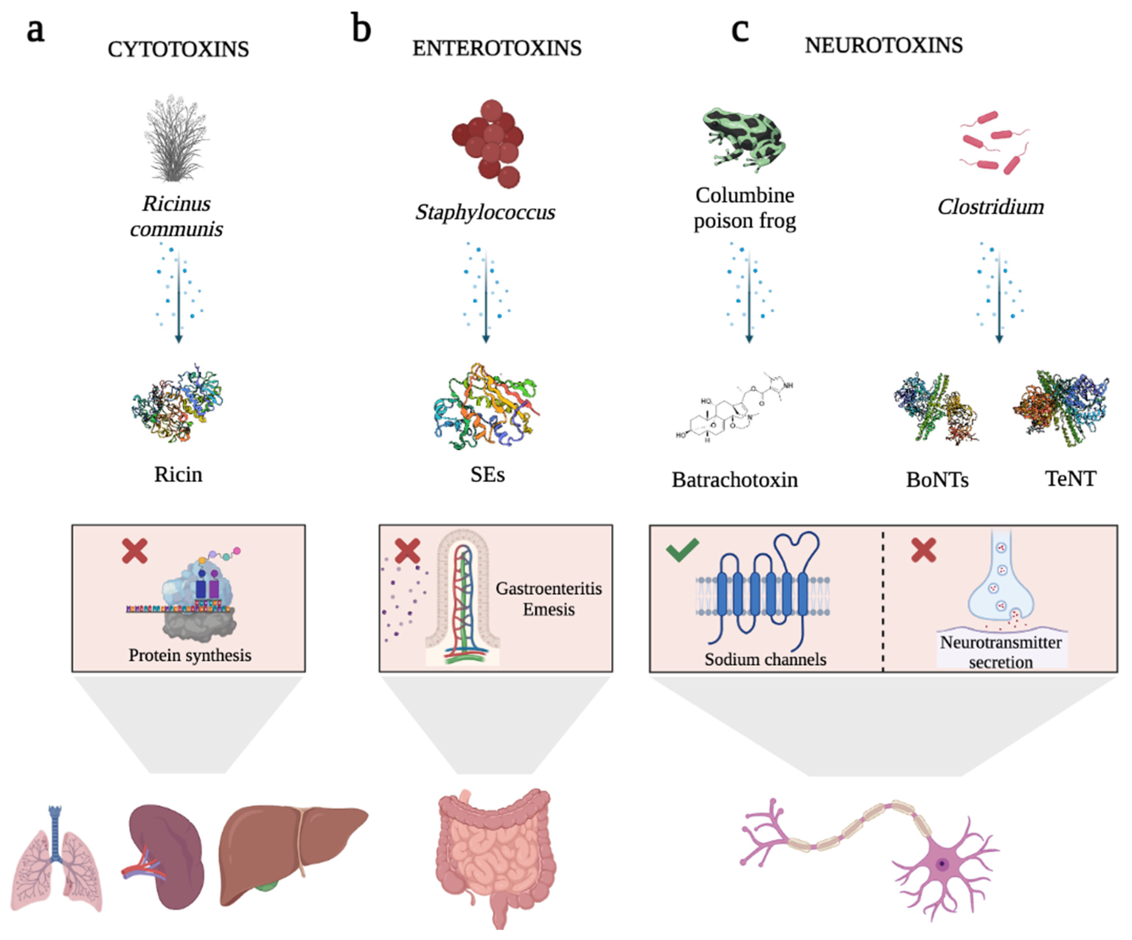 Ijms 24 11227 g001 Ijms 24 11227 g001