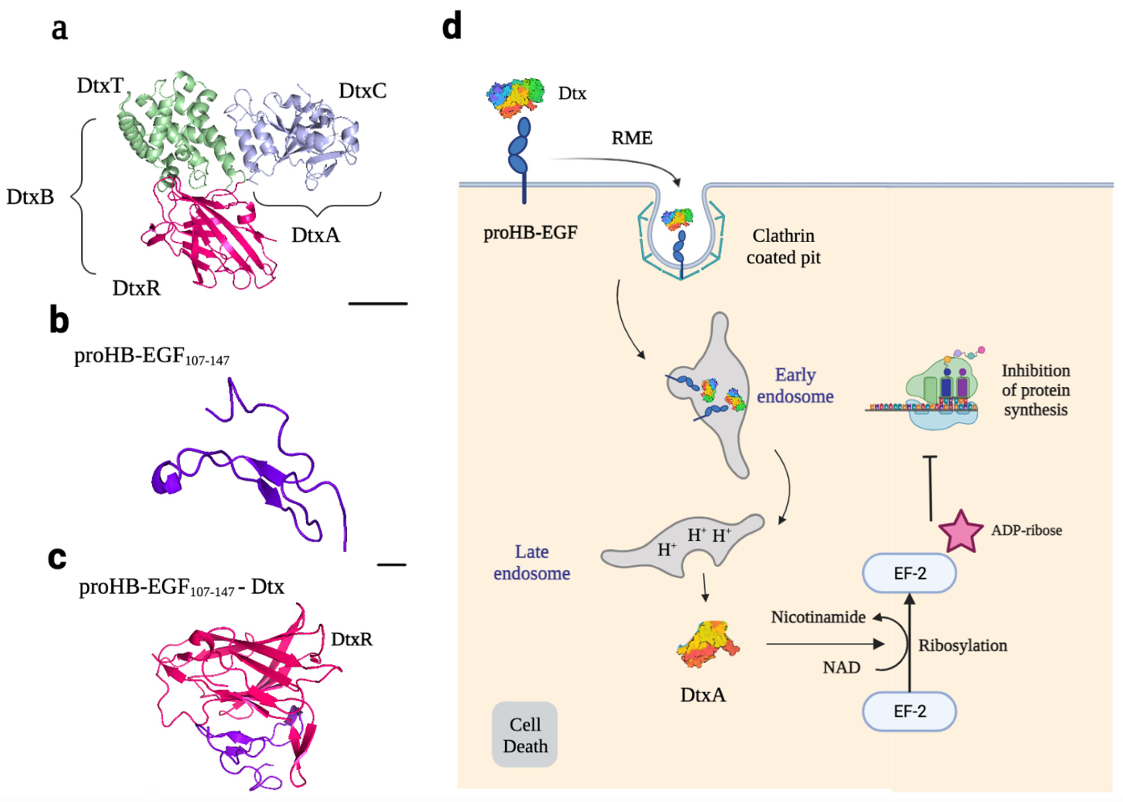 Ijms 24 11227 g004 Ijms 24 11227 g004