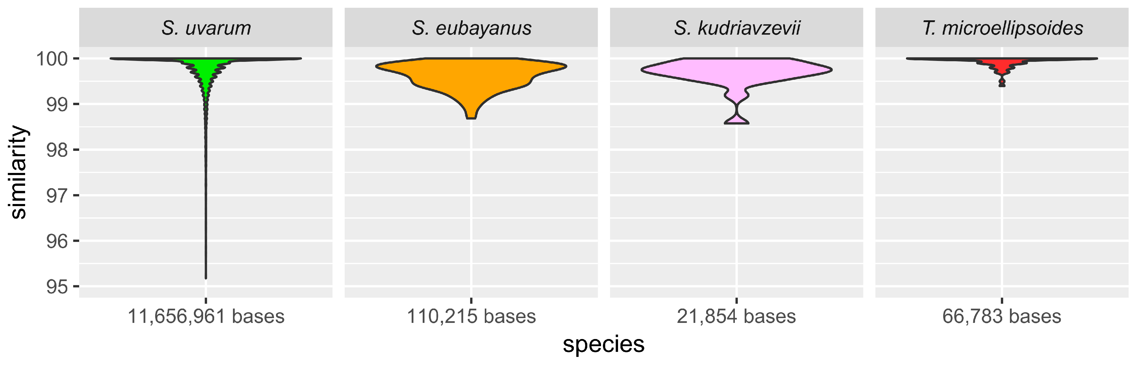 Ijms 24 11232 g003 Ijms 24 11232 g003