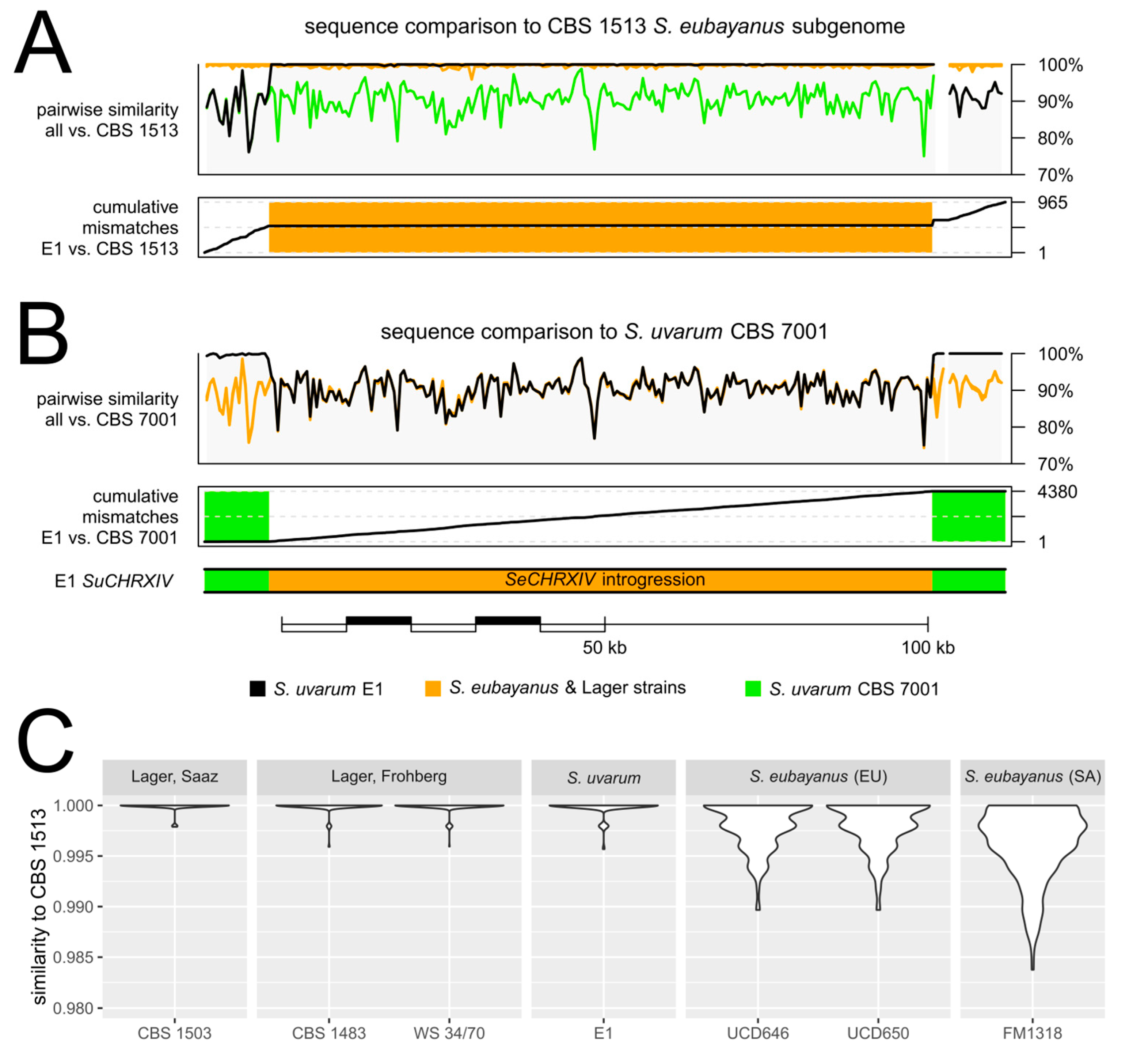 Ijms 24 11232 g004 Ijms 24 11232 g004