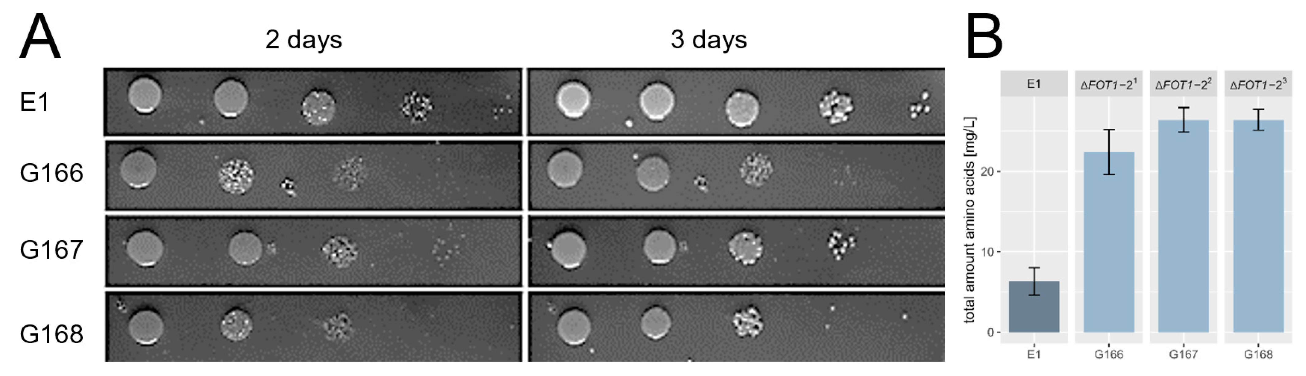 Ijms 24 11232 g008 Ijms 24 11232 g008