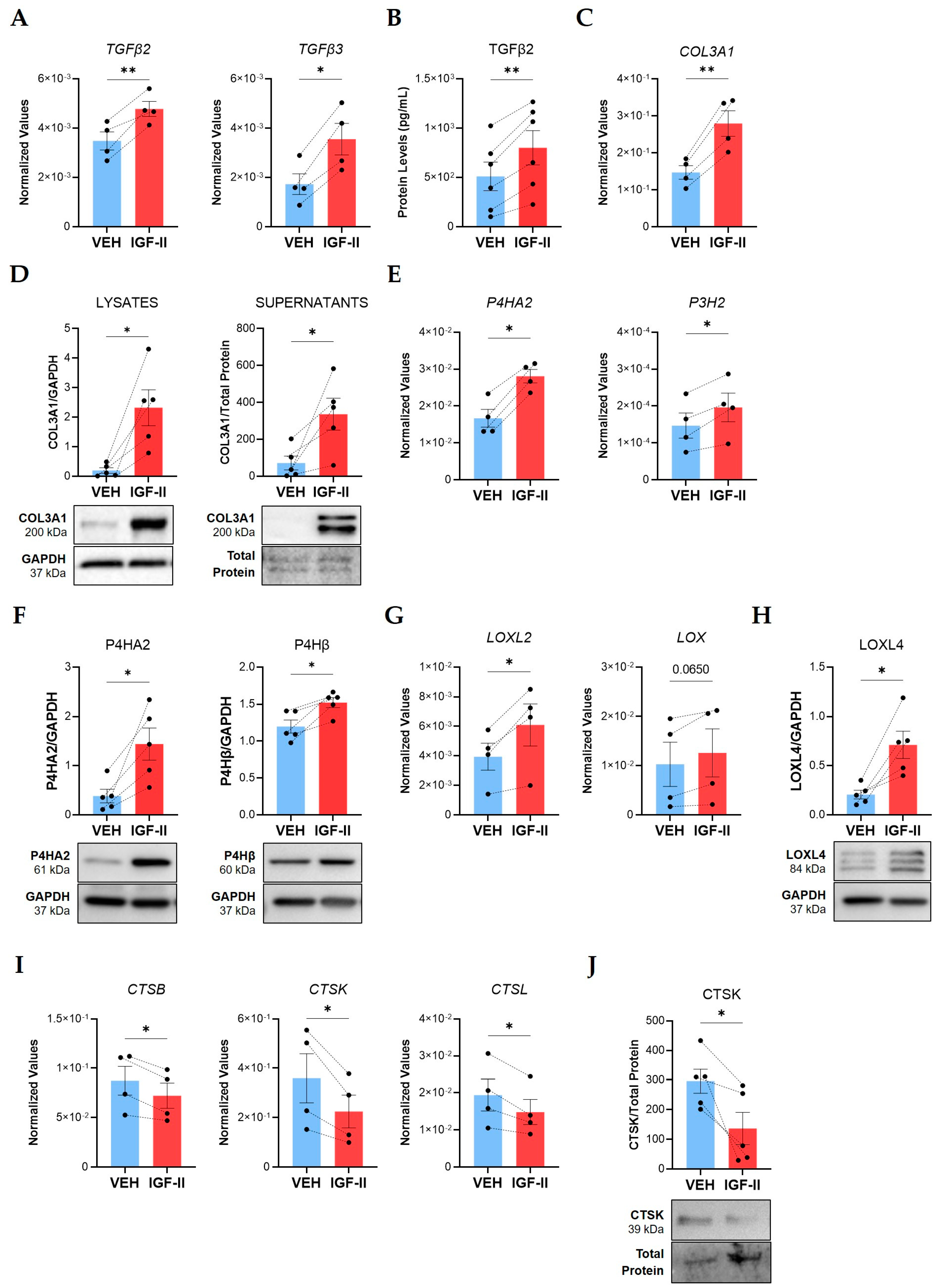 Ijms 24 11234 g001 Ijms 24 11234 g001