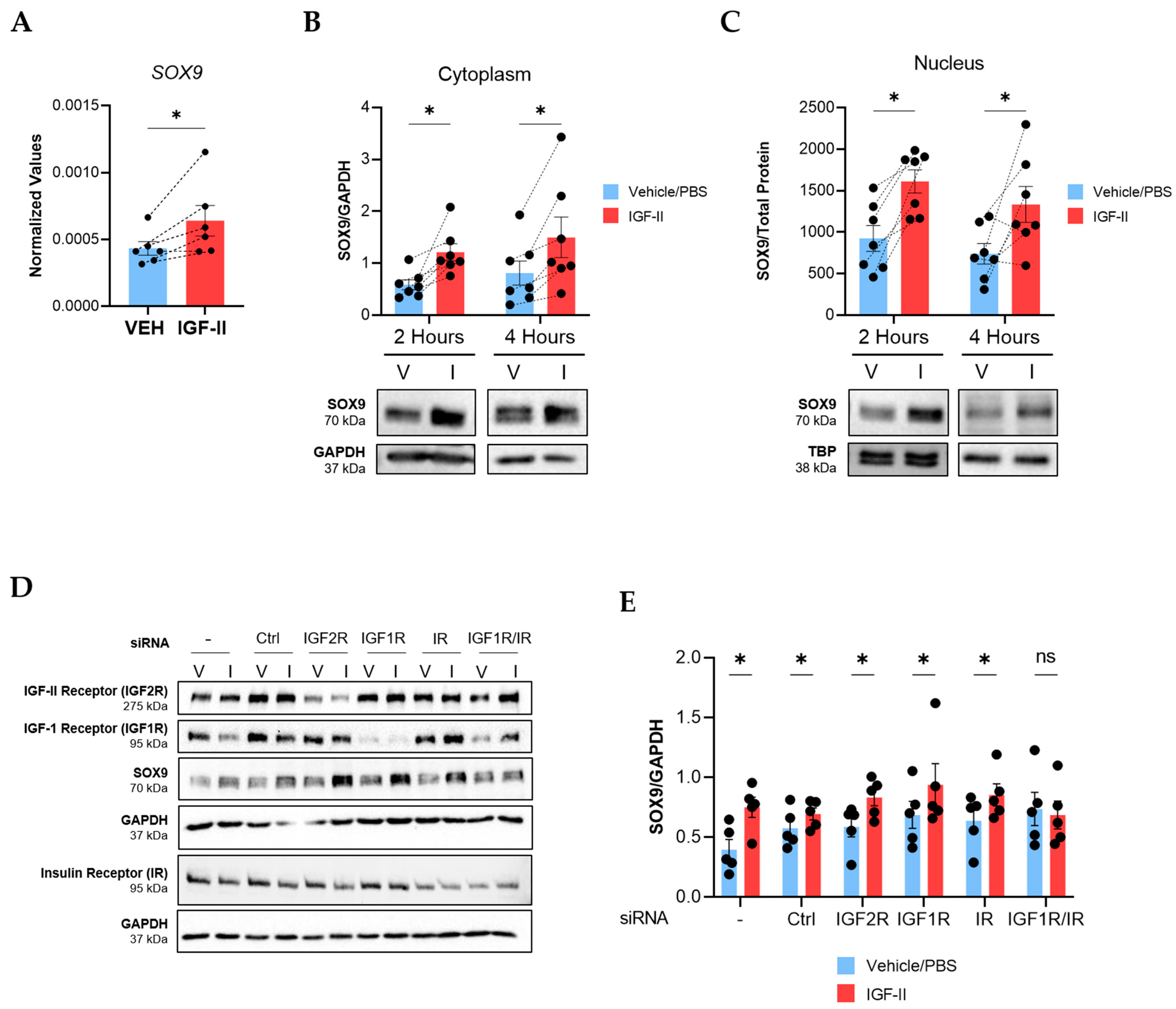 Ijms 24 11234 g003 Ijms 24 11234 g003
