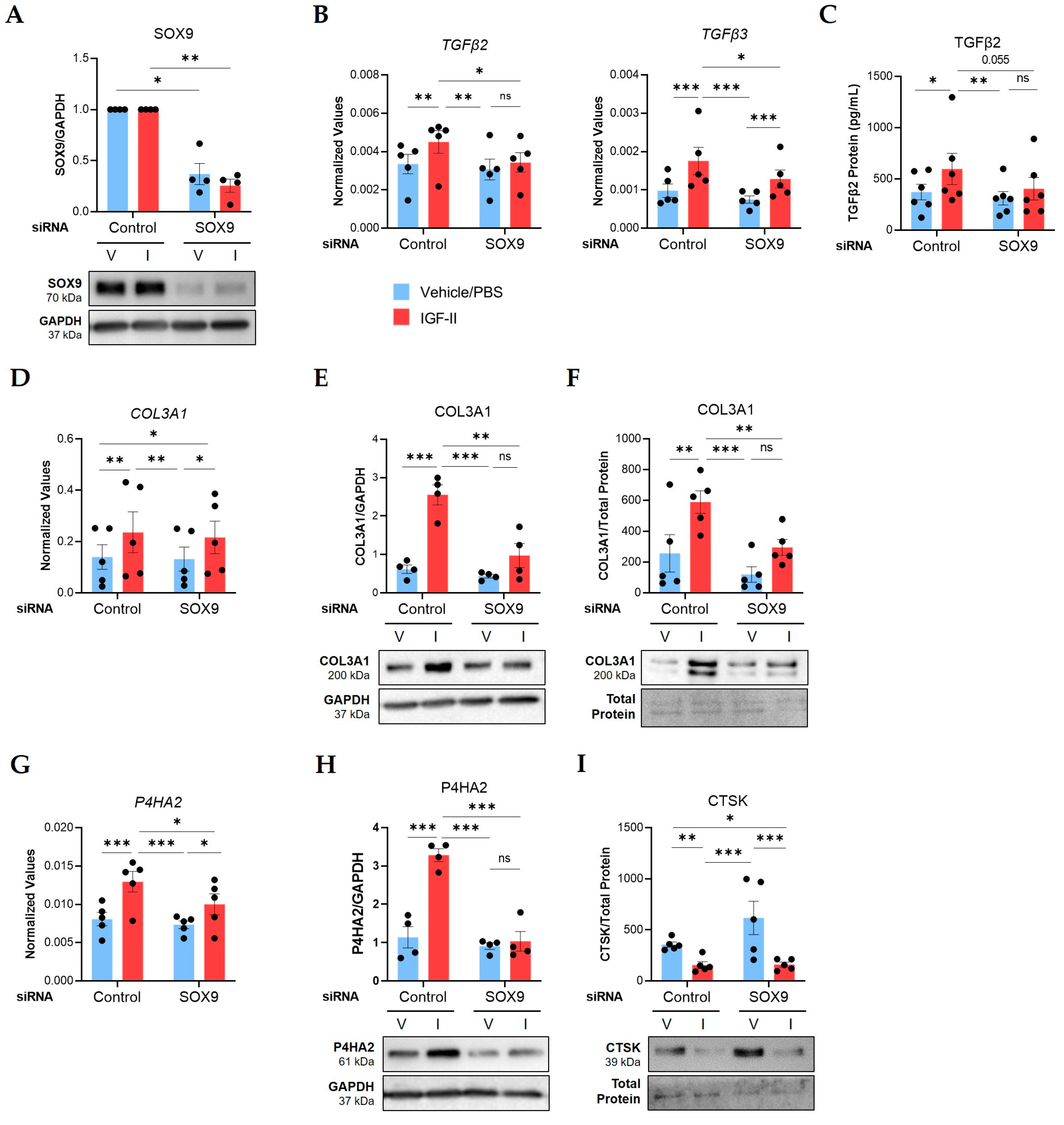 Ijms 24 11234 g004 Ijms 24 11234 g004