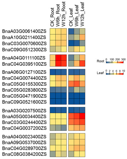 Genome-Wide Identification and Analysis of the Plant Cysteine Oxidase ...