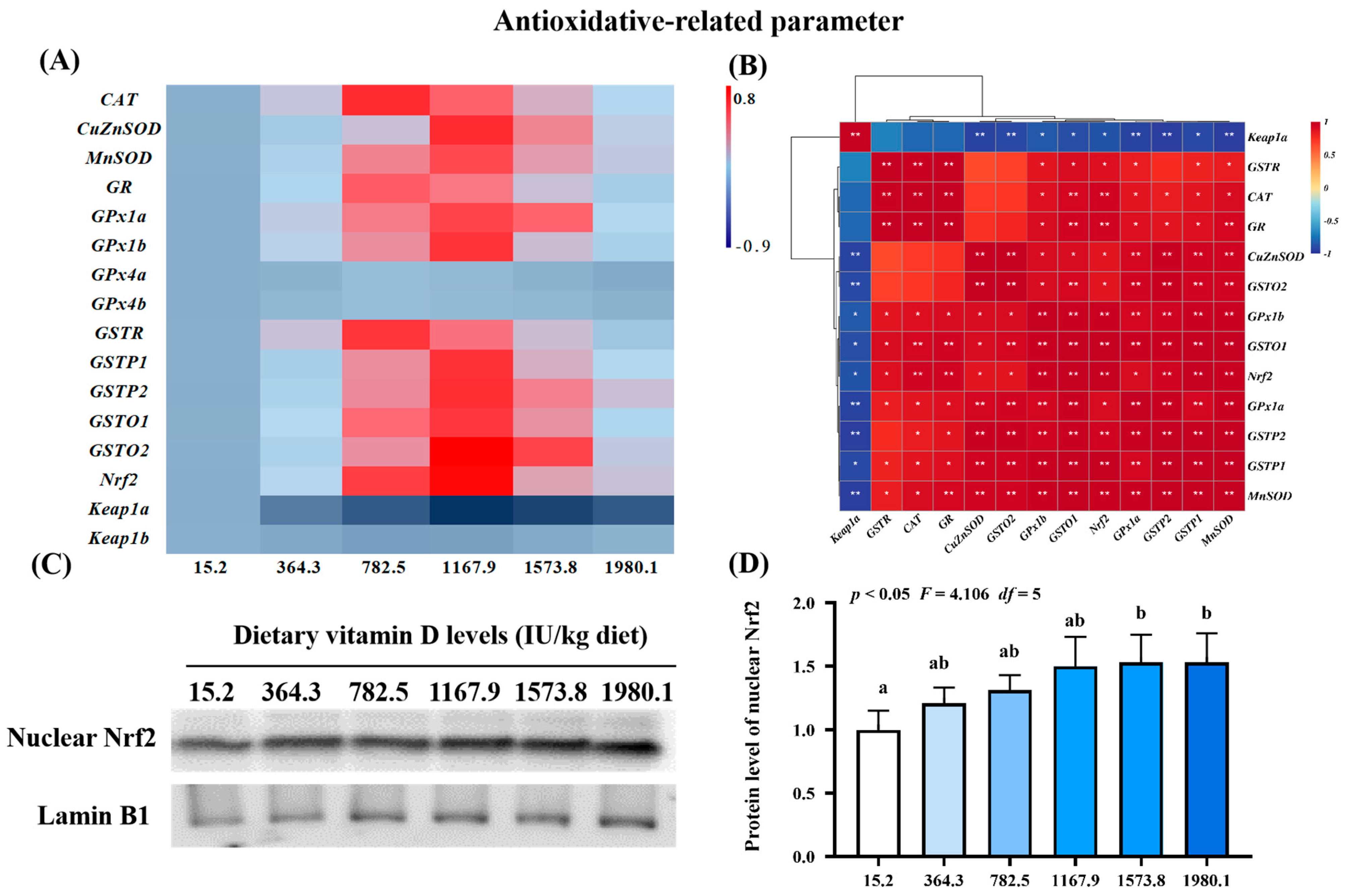 Ijms 24 11243 g003 Ijms 24 11243 g003