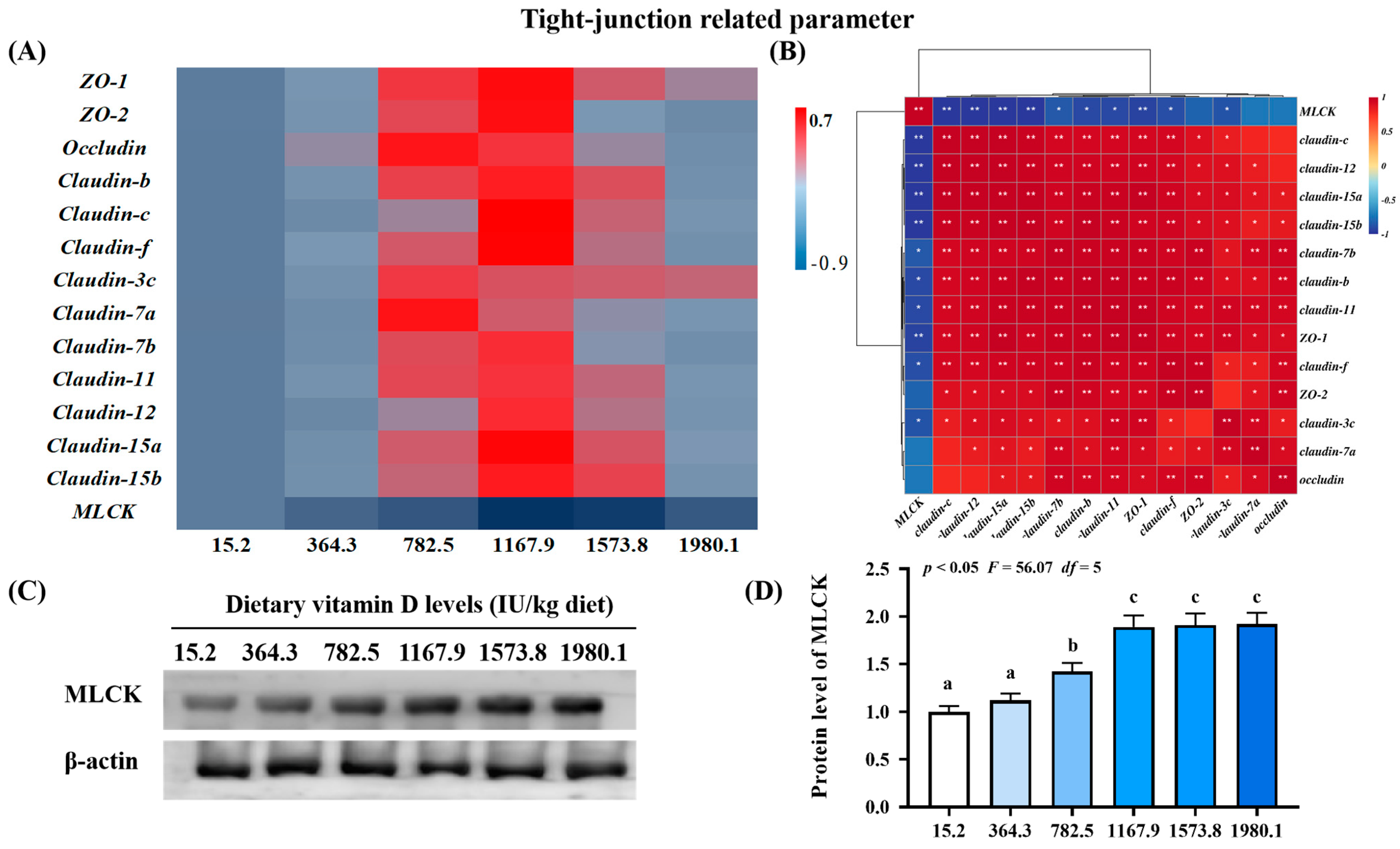 Ijms 24 11243 g005 Ijms 24 11243 g005