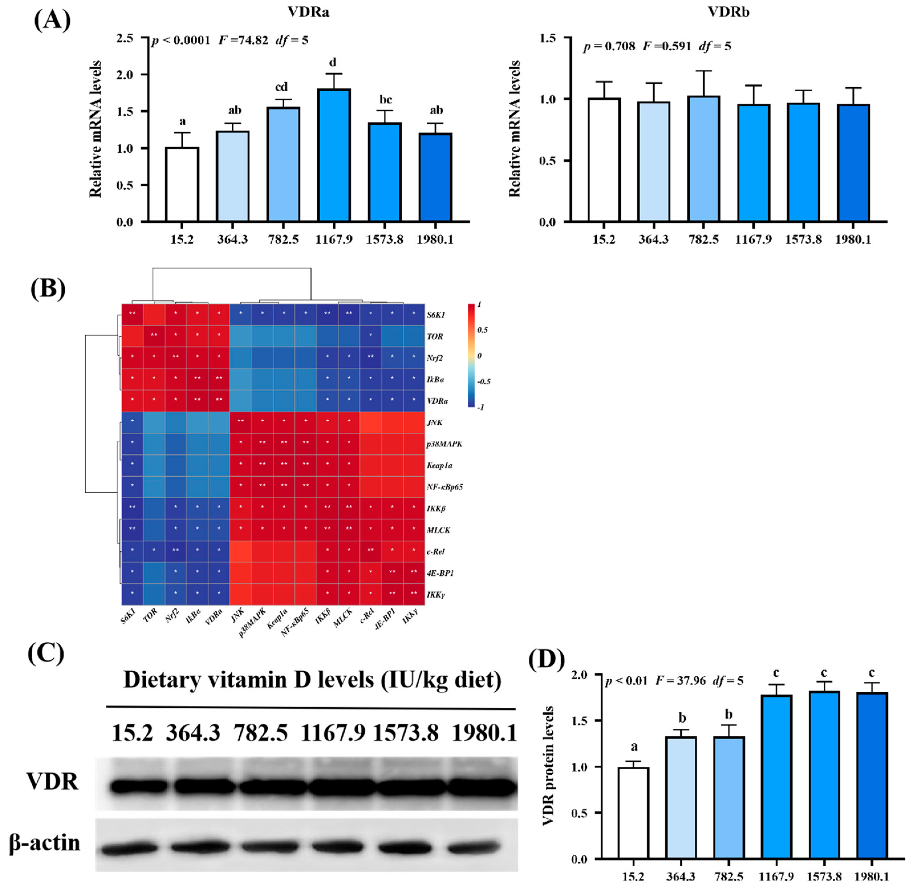 Ijms 24 11243 g008 Ijms 24 11243 g008