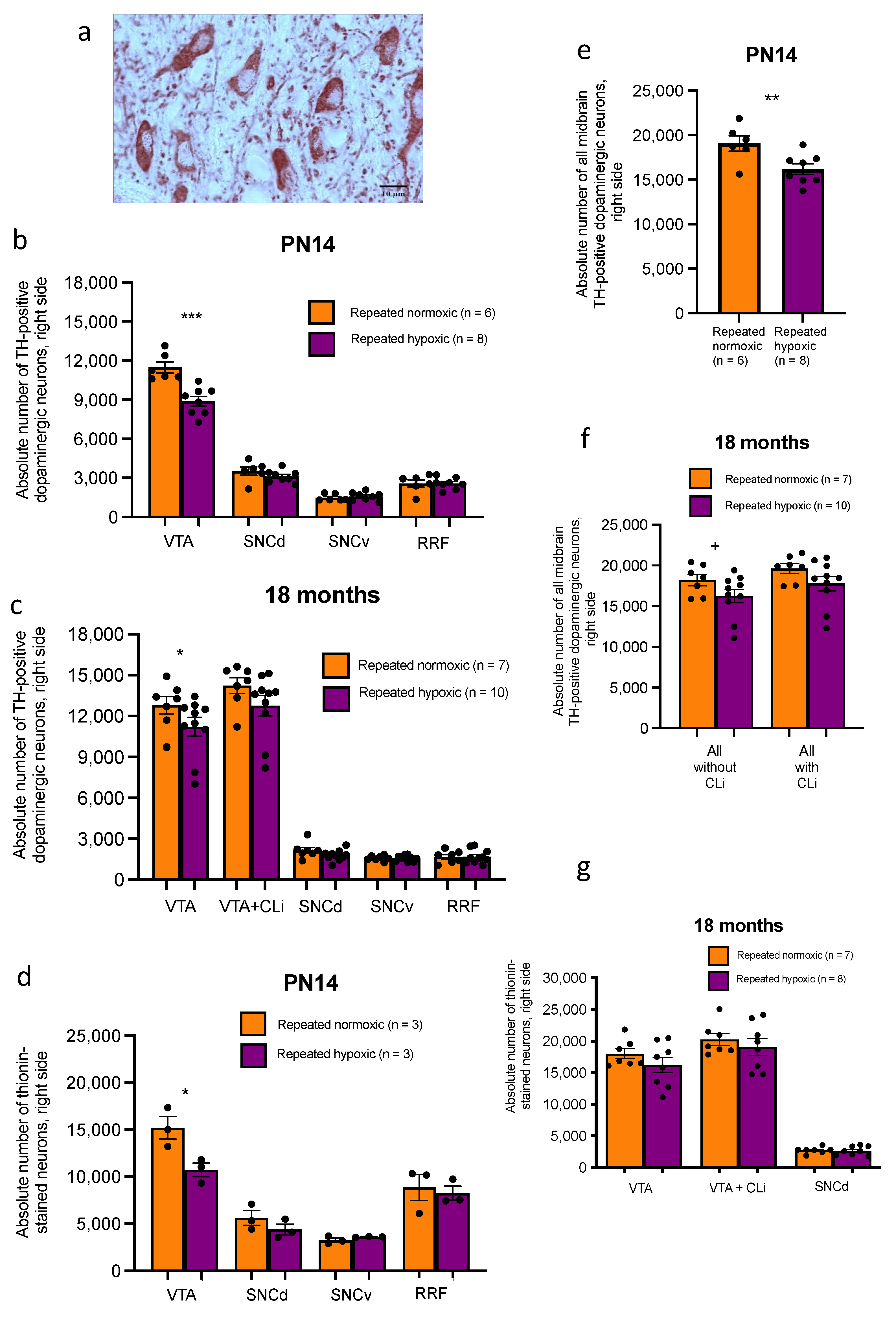 Ijms 24 11252 g006 Ijms 24 11252 g006