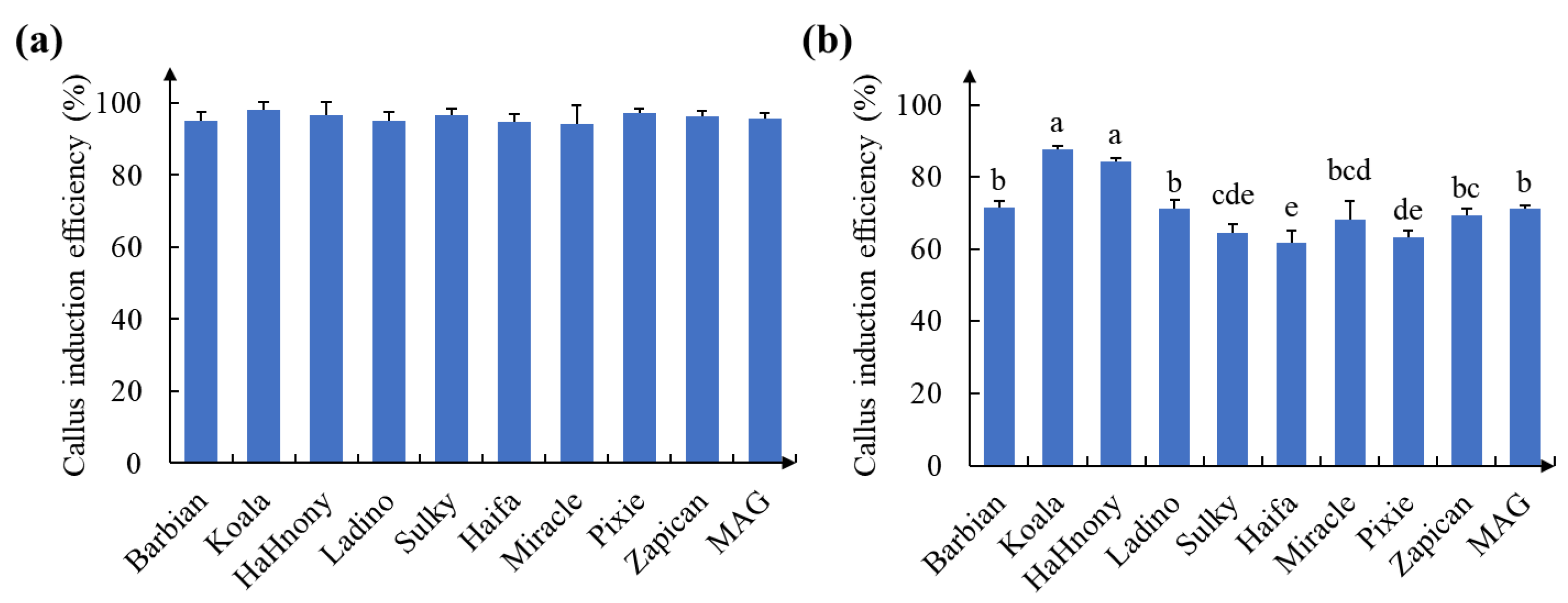 Ijms 24 11260 g002 Ijms 24 11260 g002
