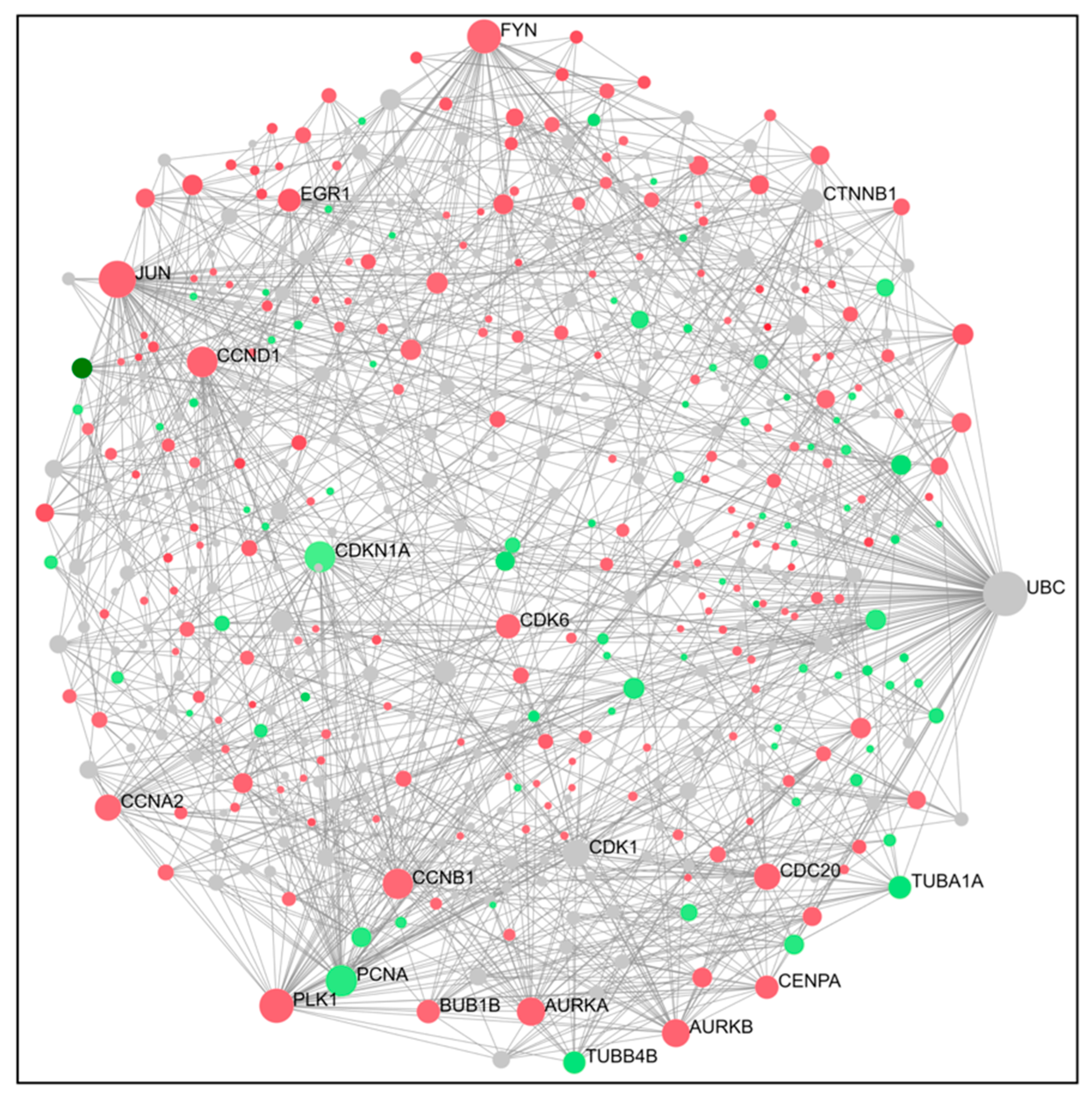 Ijms 24 11263 g003 Ijms 24 11263 g003