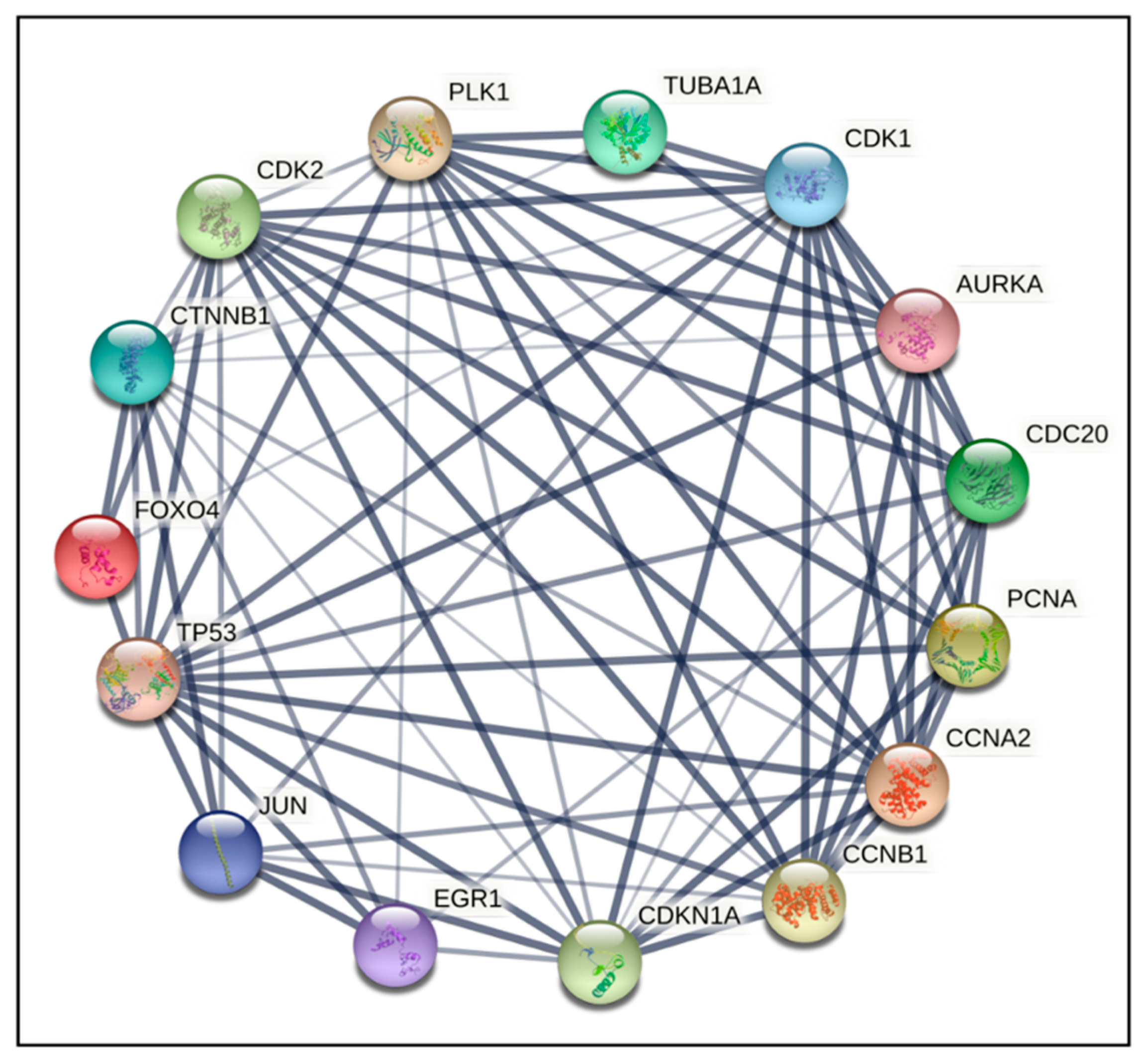 Ijms 24 11263 g004 Ijms 24 11263 g004