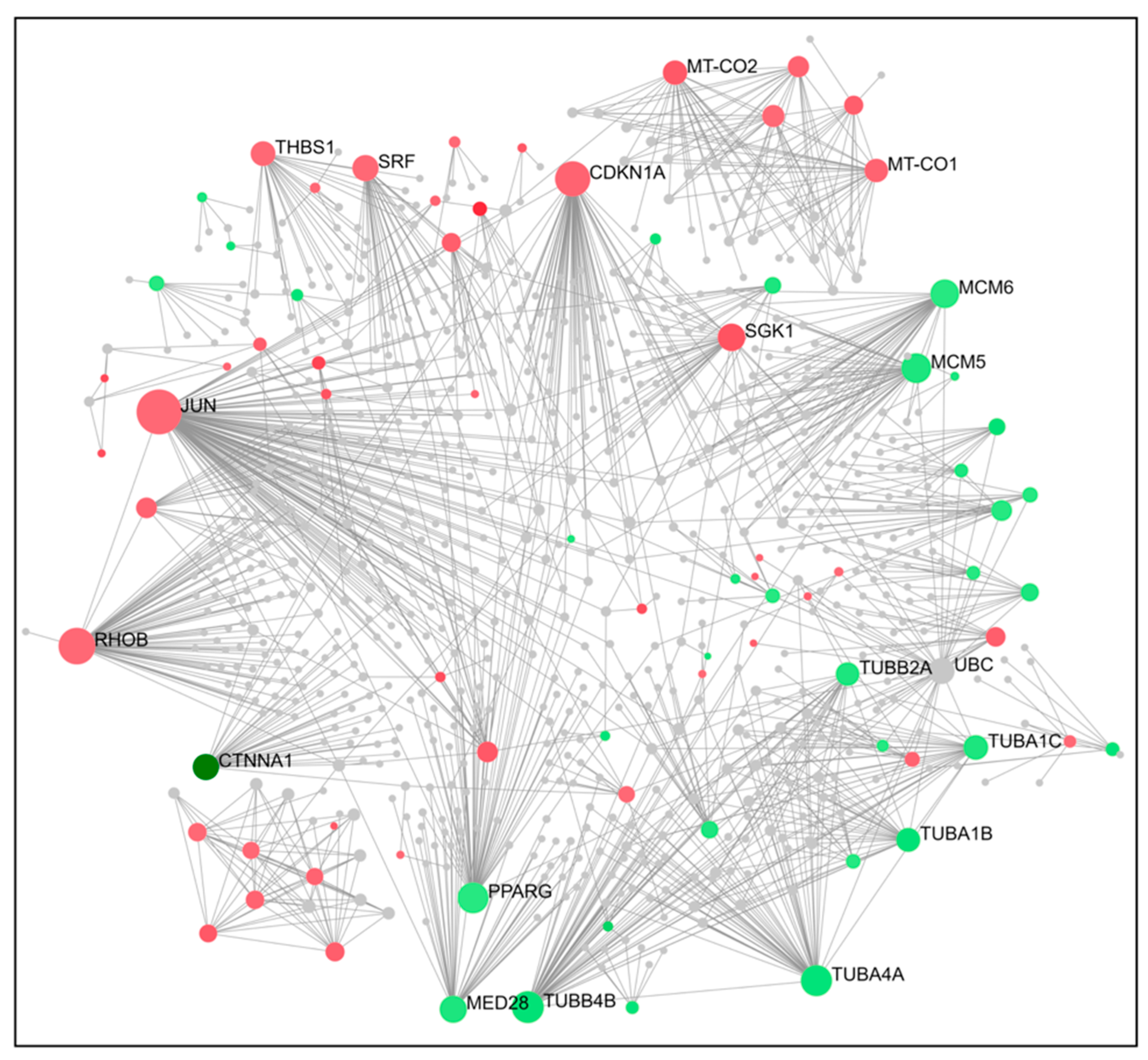 Ijms 24 11263 g005 Ijms 24 11263 g005