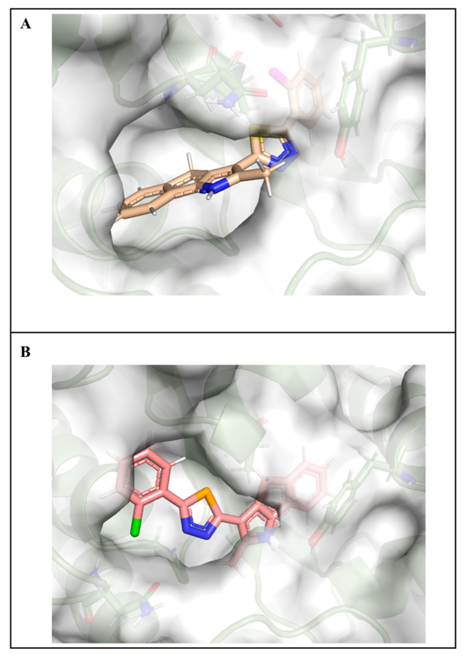 Ijms 24 11263 g010 Ijms 24 11263 g010