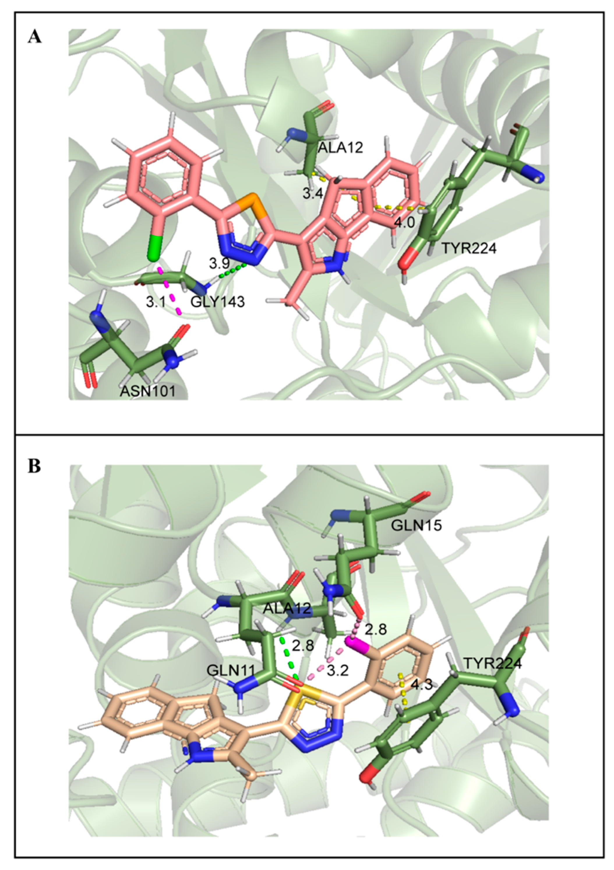 Ijms 24 11263 g011 Ijms 24 11263 g011