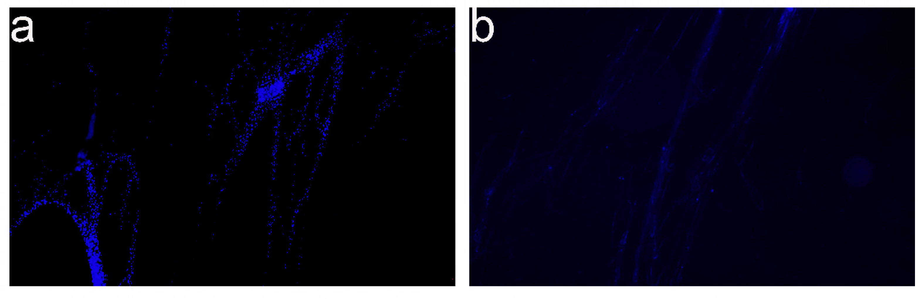 Ijms 24 11274 g005 Ijms 24 11274 g005