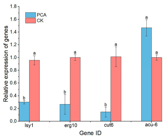 Antifungal Mechanism of Phenazine-1-Carboxylic Acid against Antifungal Mechanism of Phenazine-1-Carboxylic Acid against