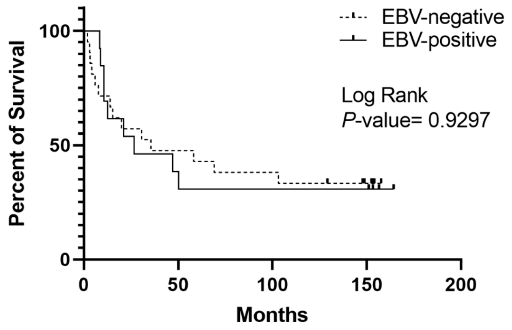 Ijms 24 11276 g002 Ijms 24 11276 g002