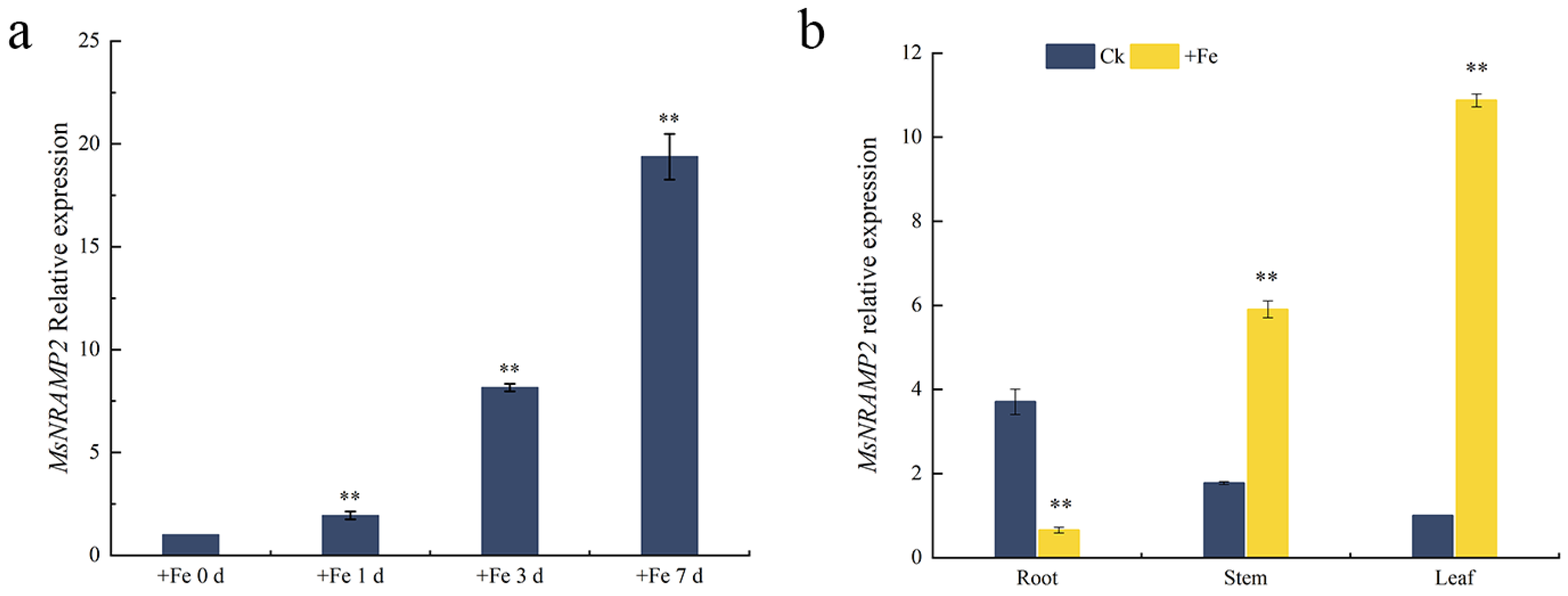 Ijms 24 11278 g002 Ijms 24 11278 g002