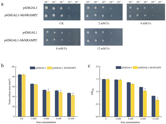 Stable Cobalt-Mediated Monolithic Dye-Sensitized Solar Cells