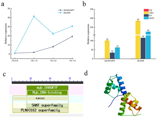 Stable Cobalt-Mediated Monolithic Dye-Sensitized Solar Cells