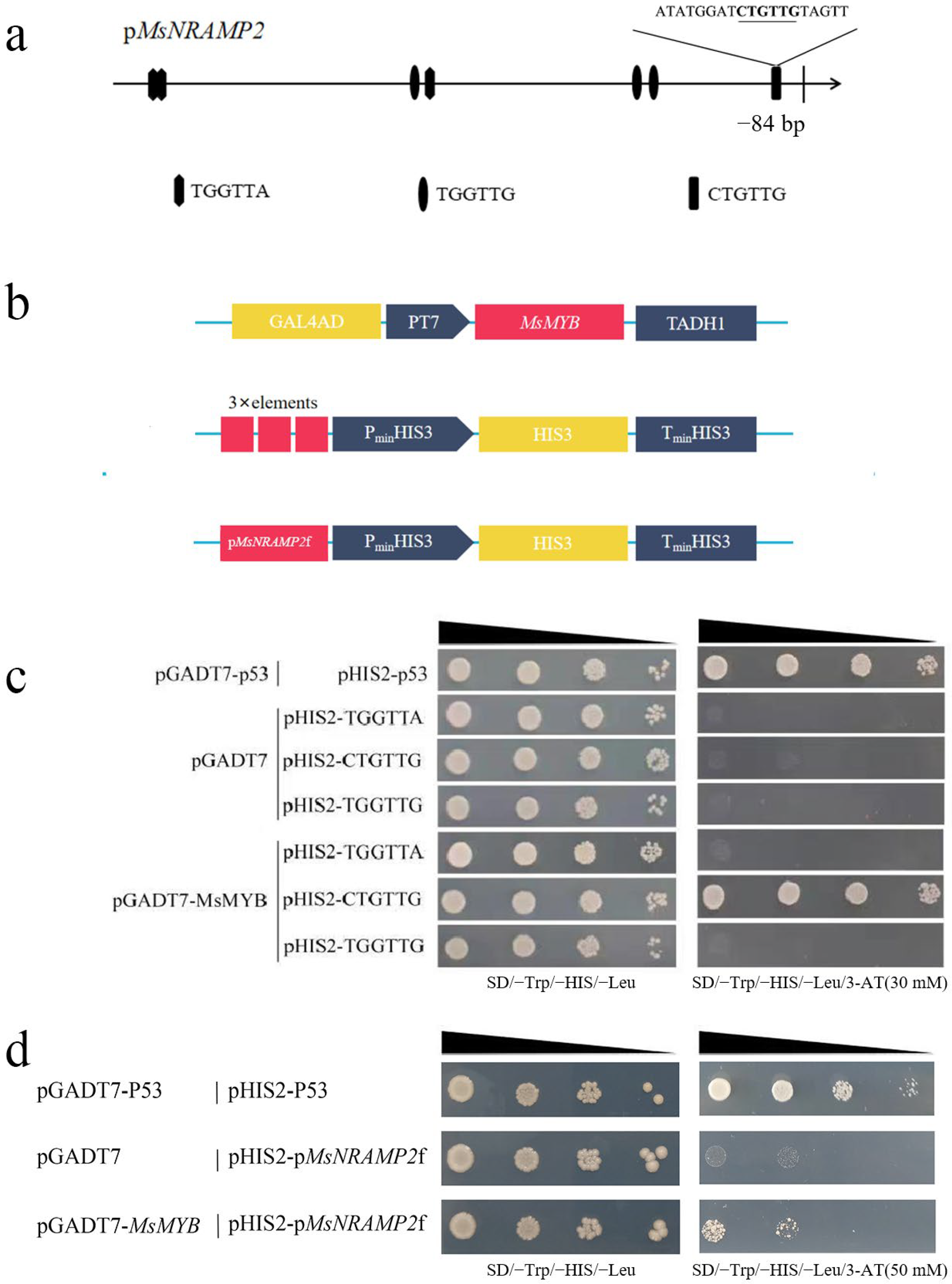 Ijms 24 11278 g009 Ijms 24 11278 g009