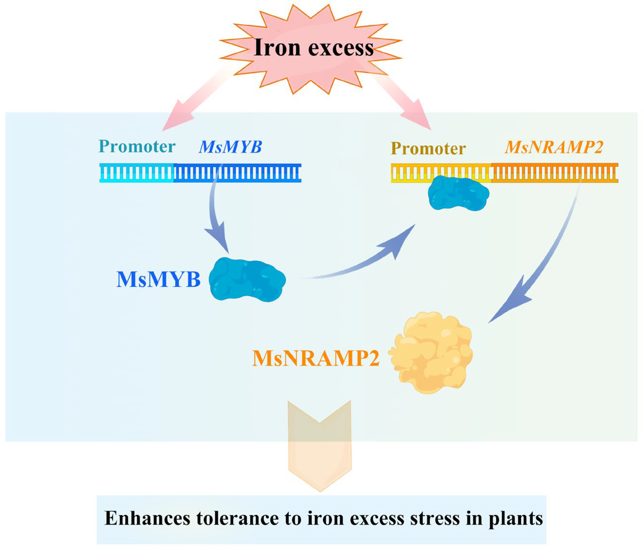 Ijms 24 11278 g010 Ijms 24 11278 g010