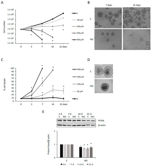 Nitric Oxide Prevents Glioblastoma Stem Cells' Expansion and