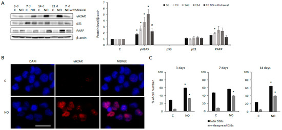 Nitric Oxide Prevents Glioblastoma Stem Cells' Expansion and