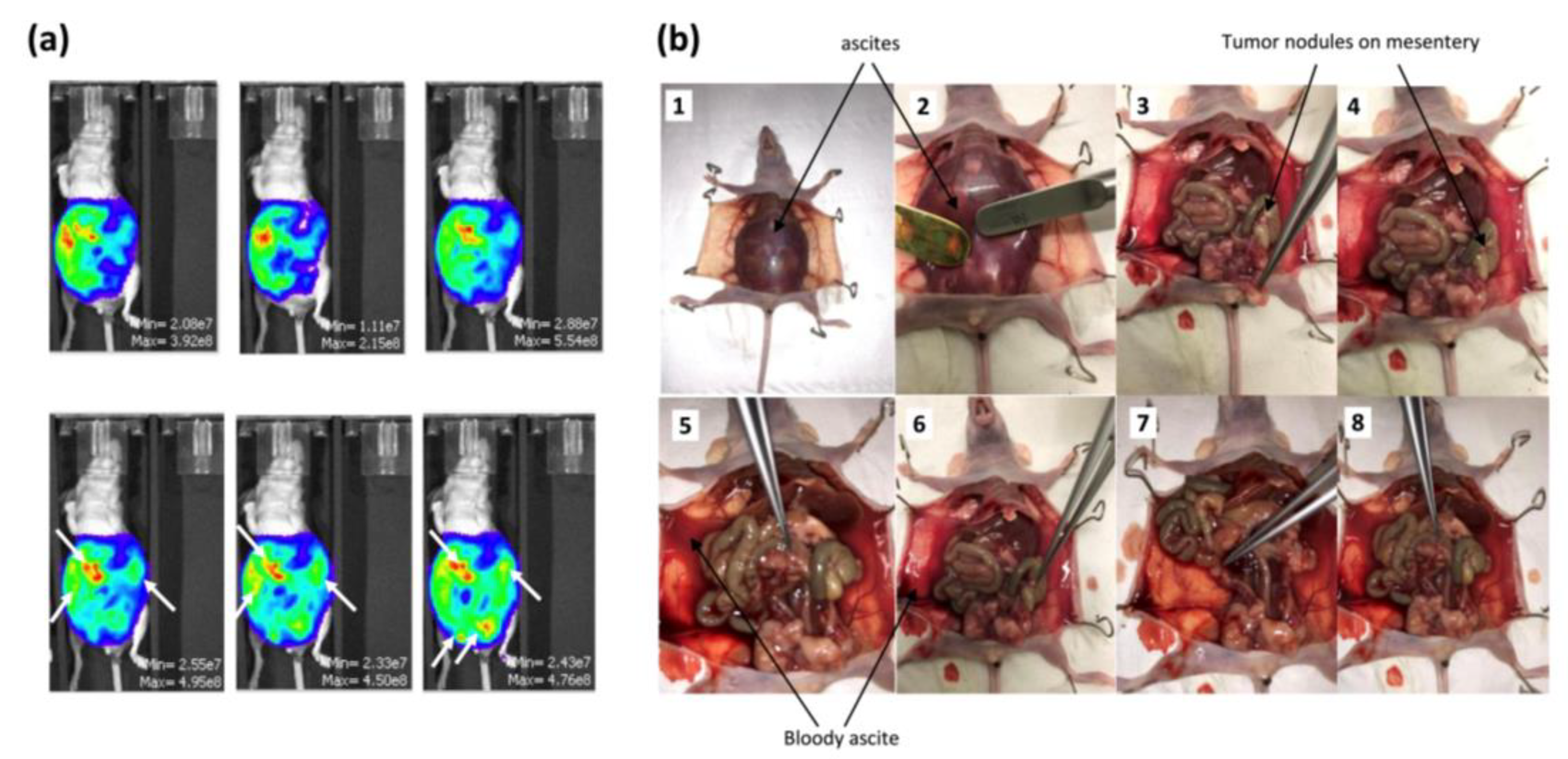 Ijms 24 11288 g002 Ijms 24 11288 g002
