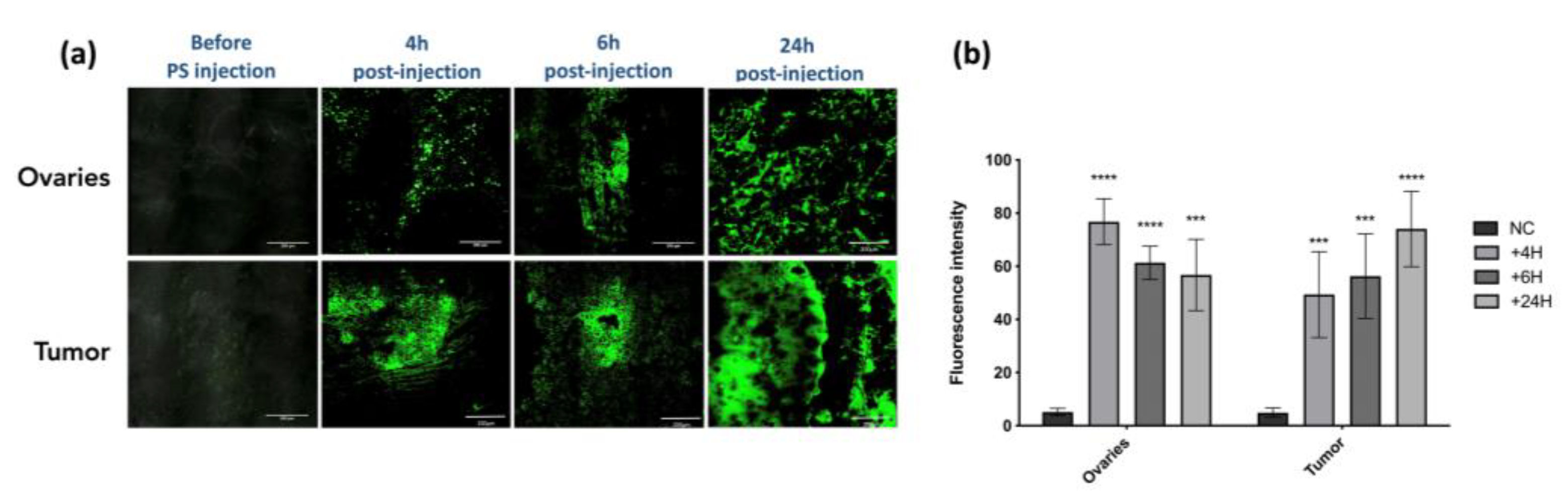Ijms 24 11288 g003 Ijms 24 11288 g003