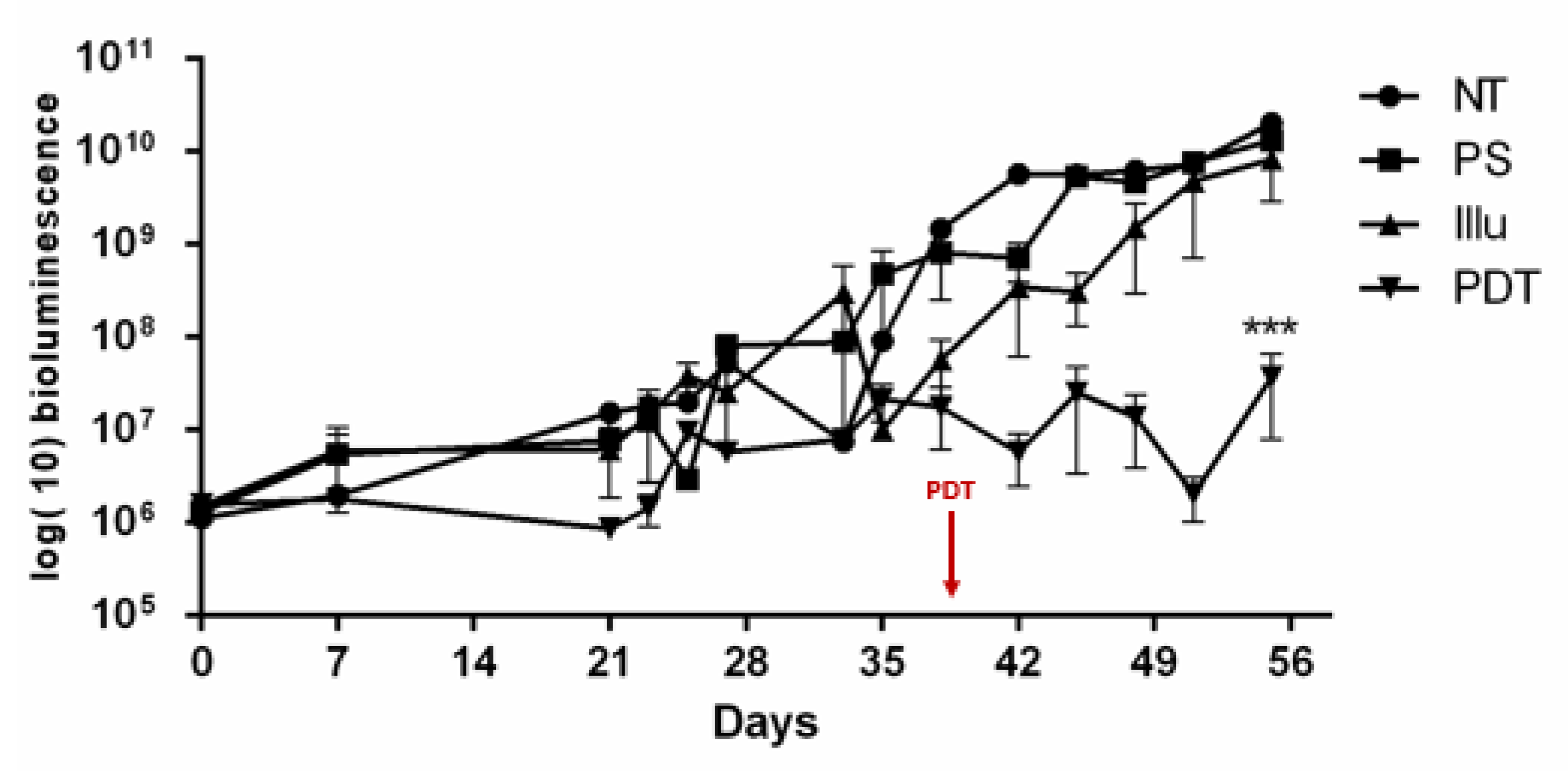 Ijms 24 11288 g005 Ijms 24 11288 g005