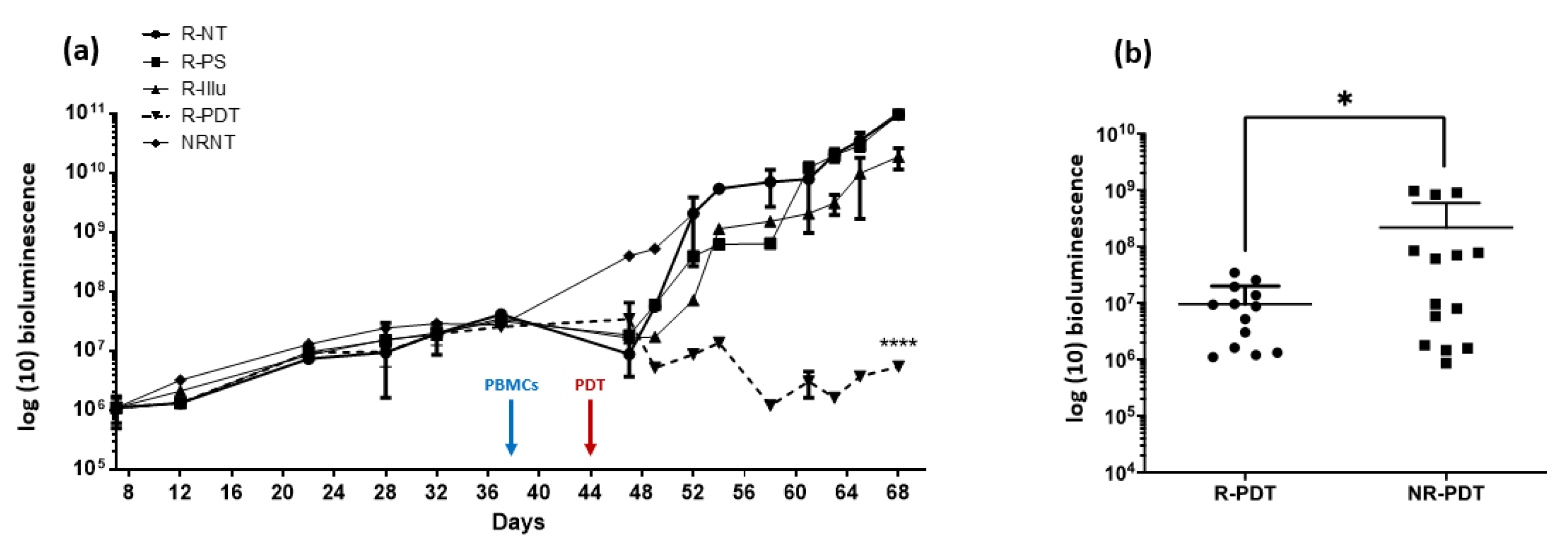 Ijms 24 11288 g007 Ijms 24 11288 g007