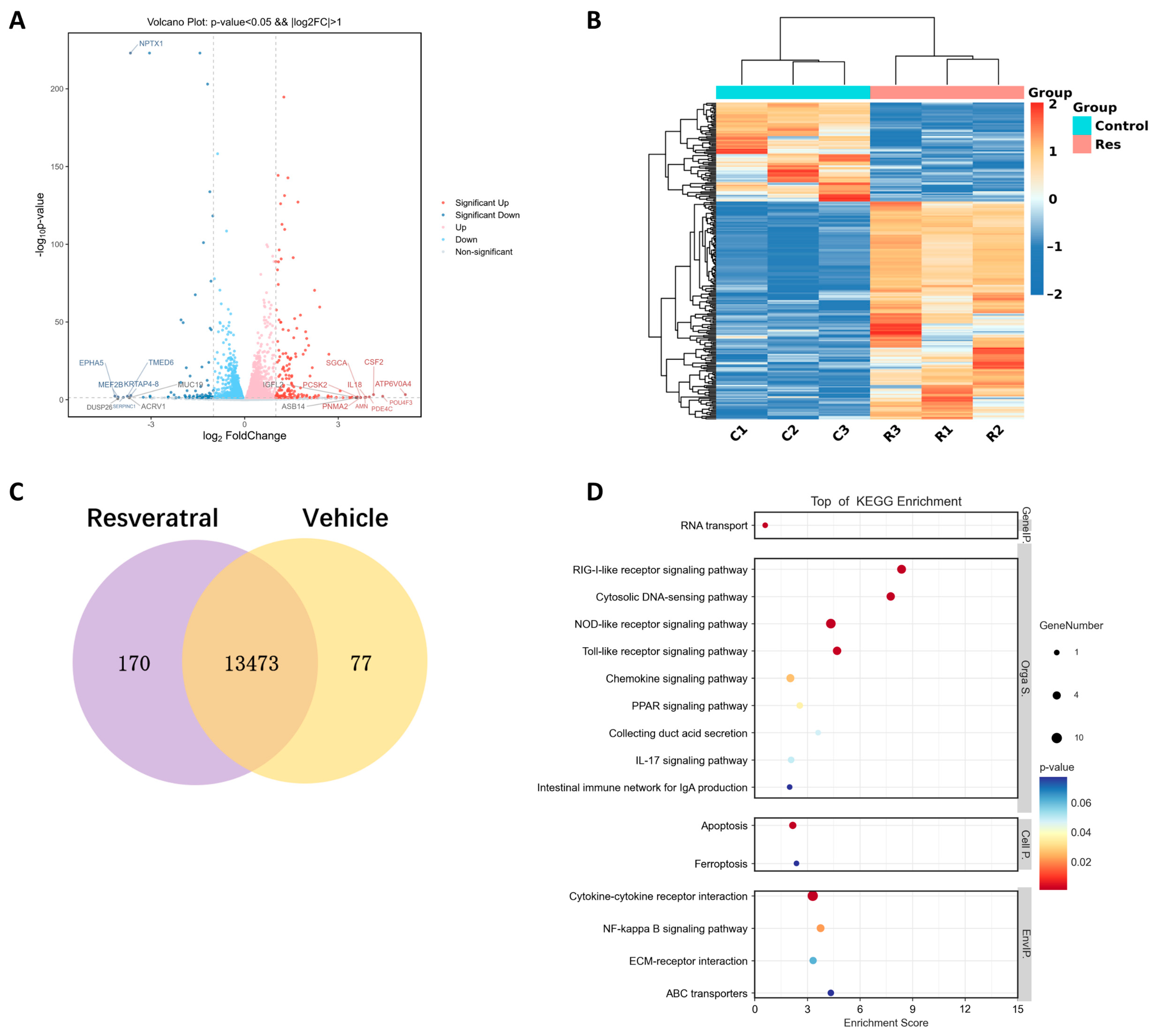 Ijms 24 11294 g002 Ijms 24 11294 g002